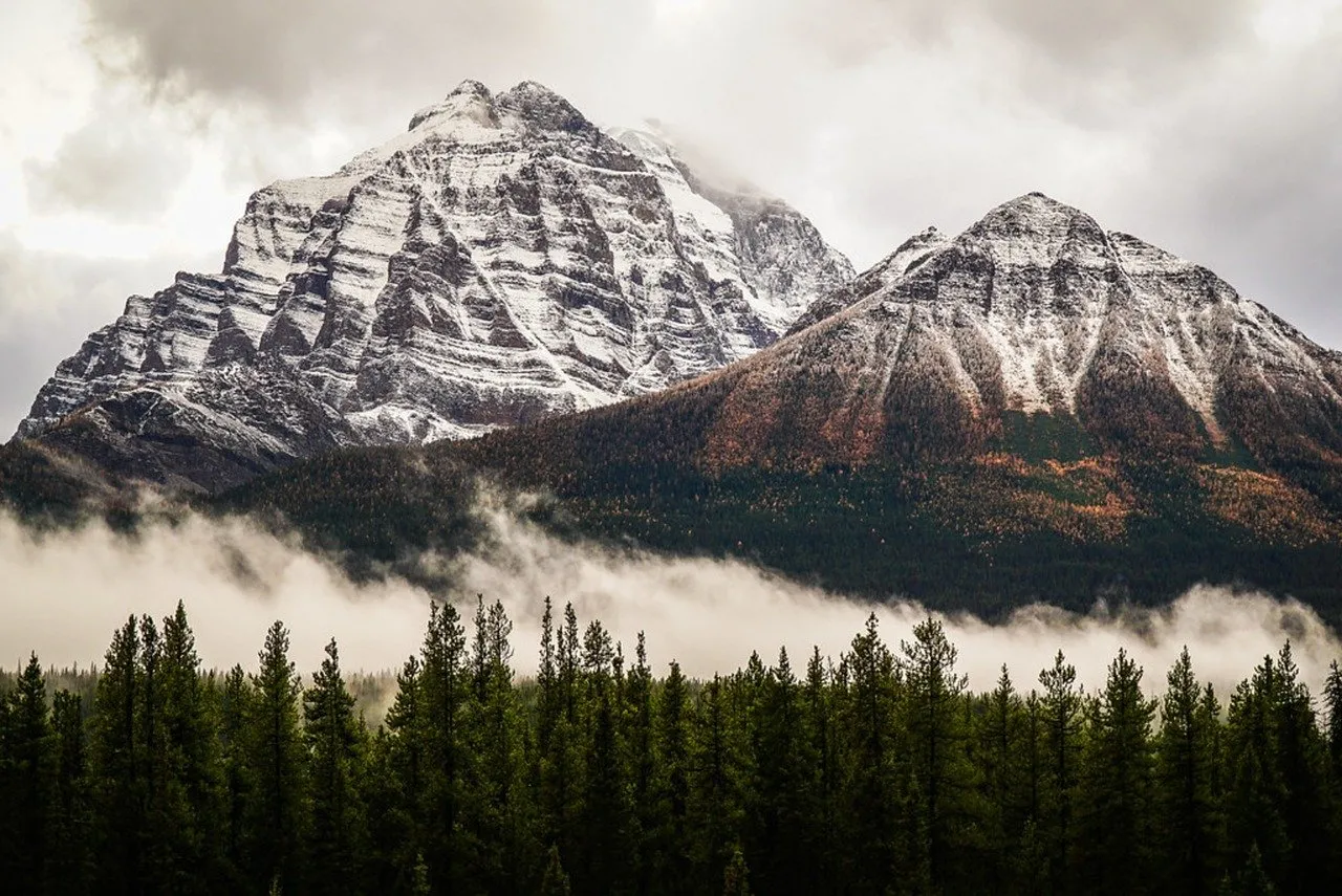 Majestic Rockies: Foggy Peaks & Autumn's Embrace