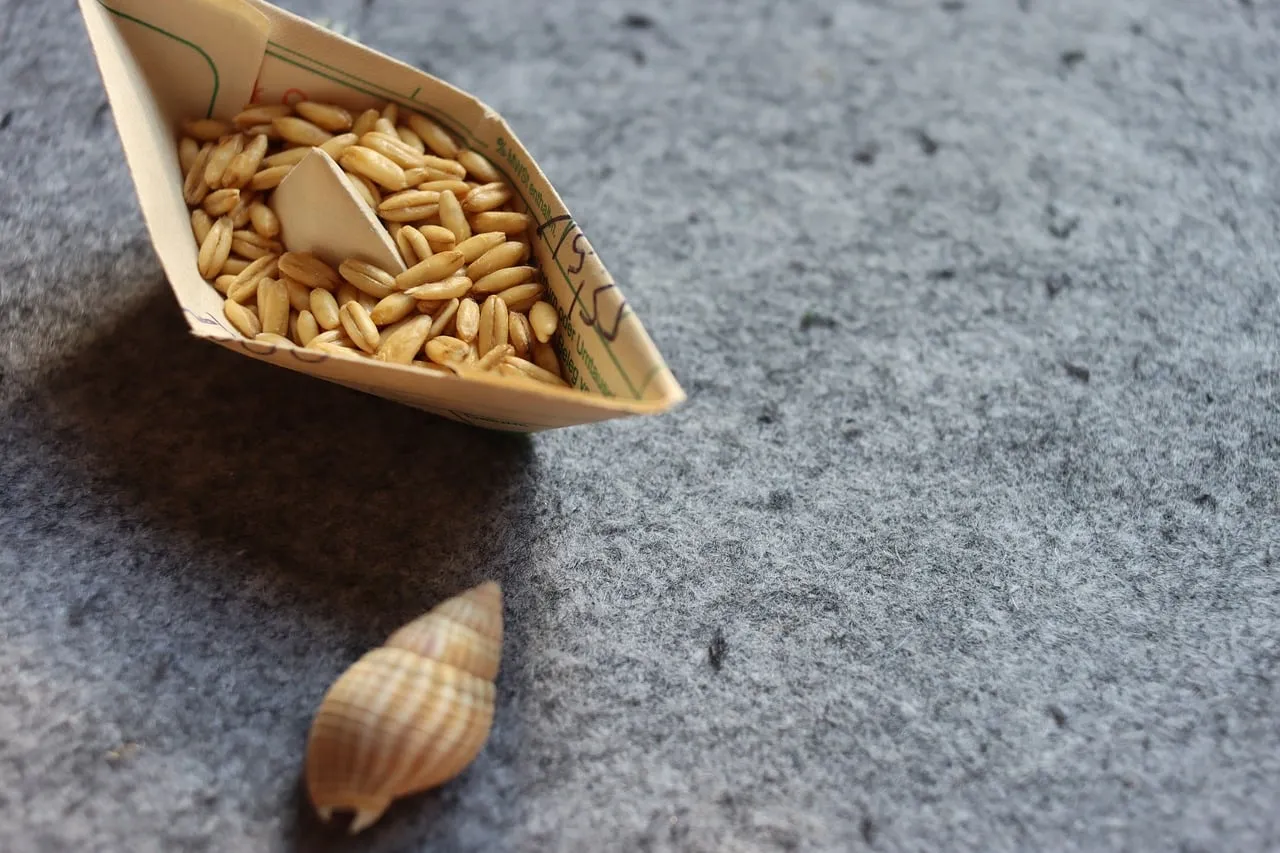 Minimalist Origami Boat with Grains: A Symbol of Journey and Growth