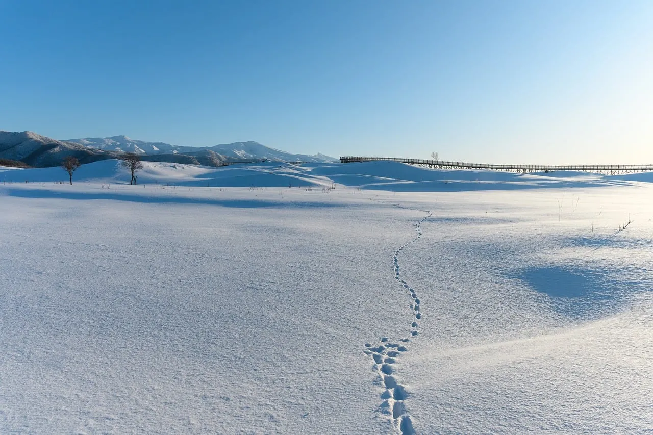 Breathtaking Hokkaido Winter: Serene Snowscape with Distant Mountains