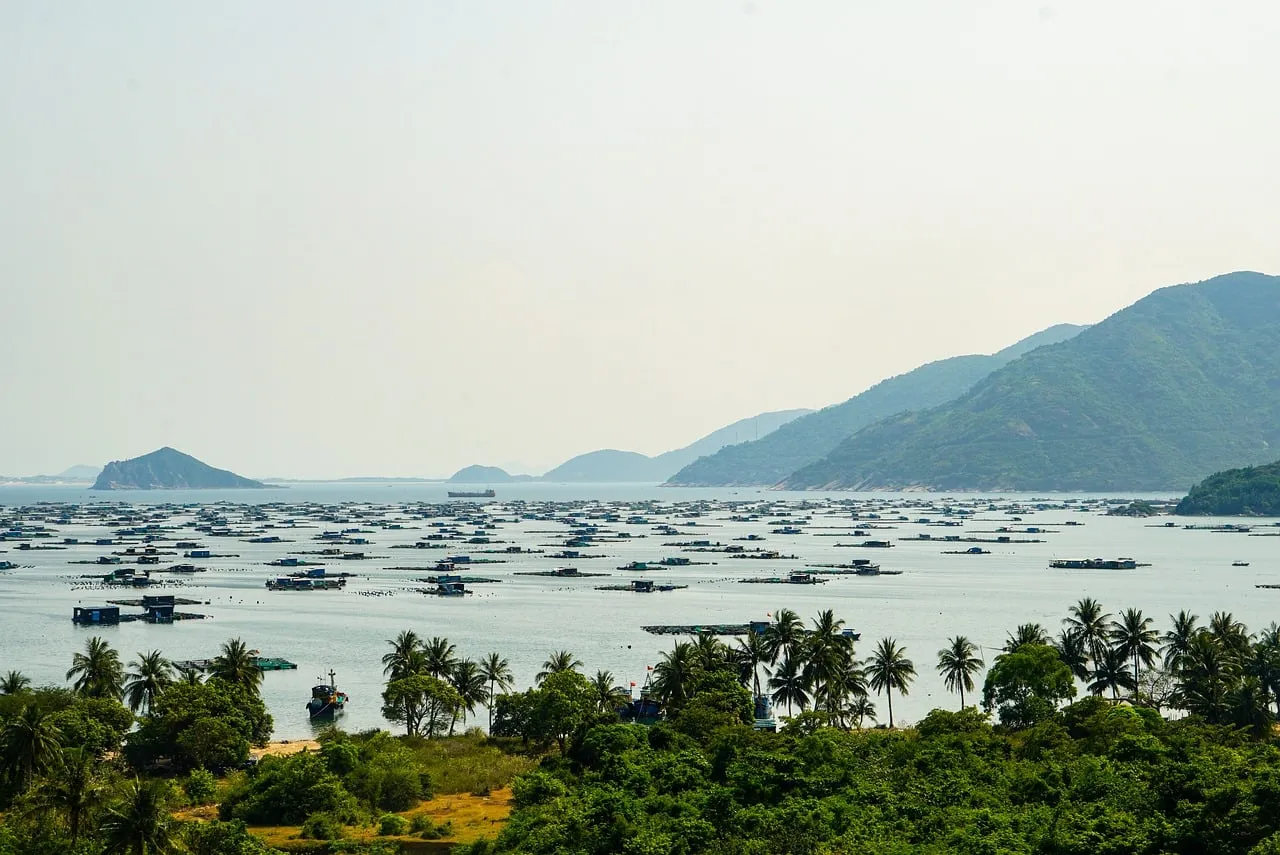 Breathtaking Vung Ro Bay: A Serene Vietnamese Aquaculture Landscape