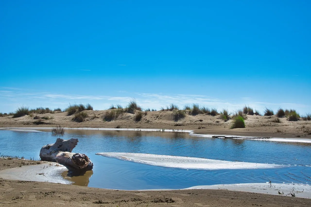 Serene Beach Landscape: Dunes, Water, and Sky Harmony