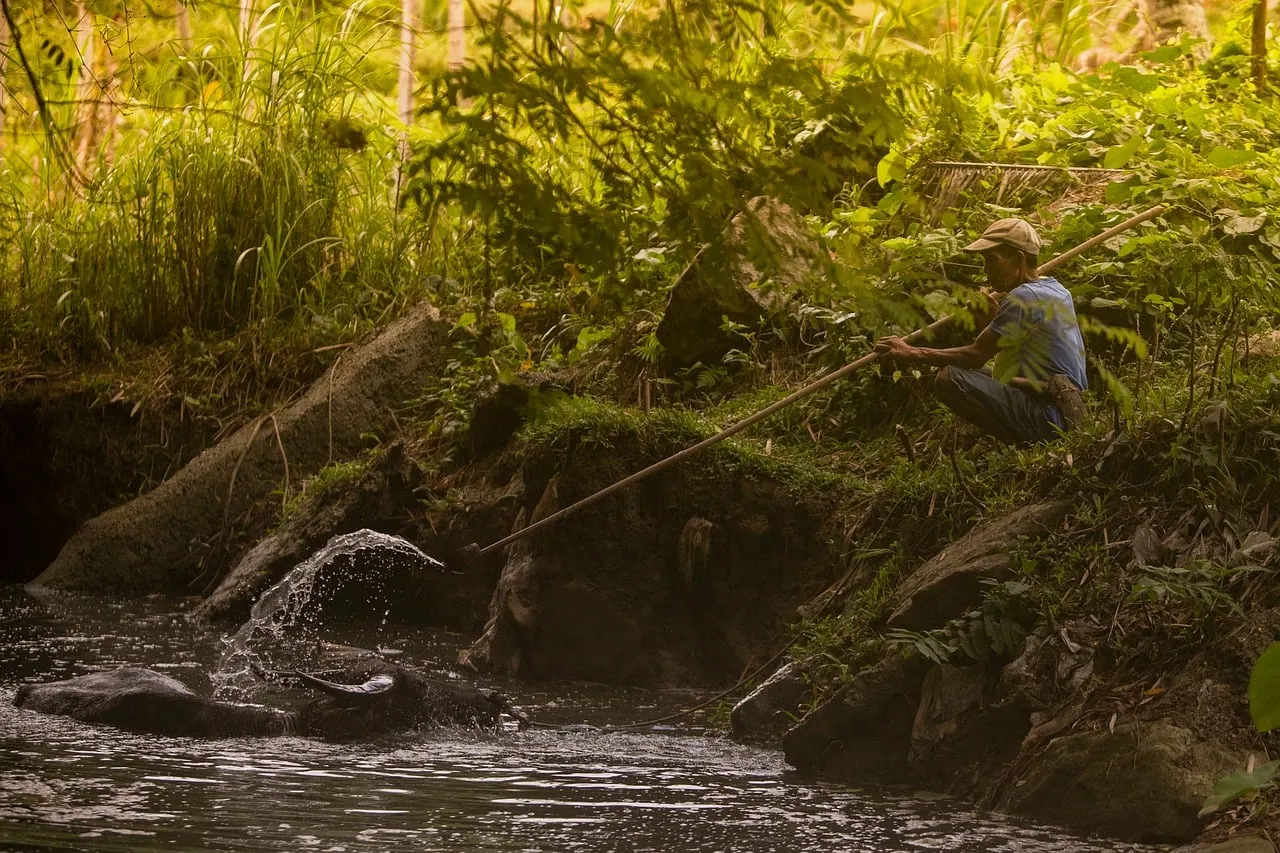 Rustic Twilight: Man, Buffalo, and River's Embrace