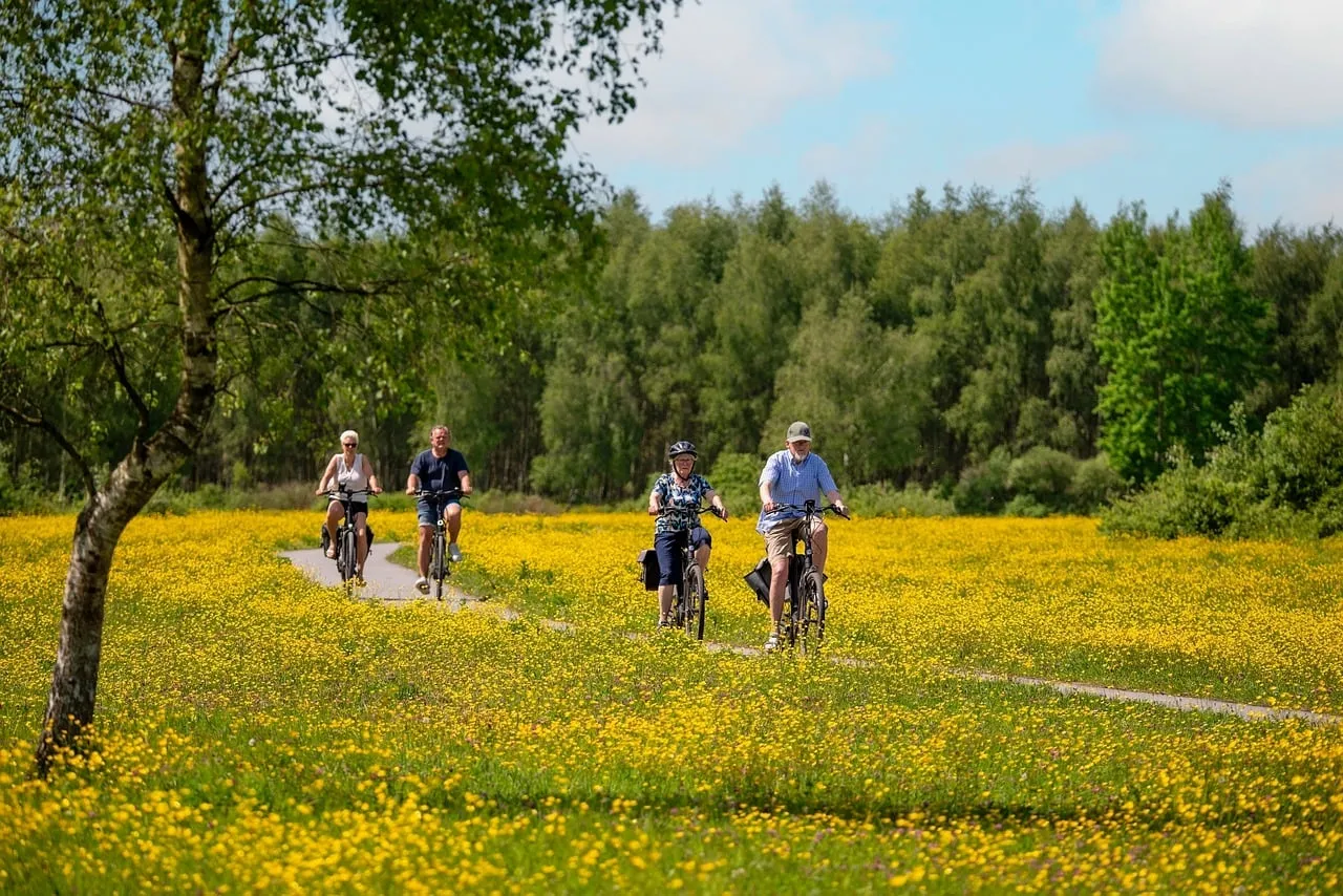 Vibrant Summer Cycling: Golden Fields and Blue Skies