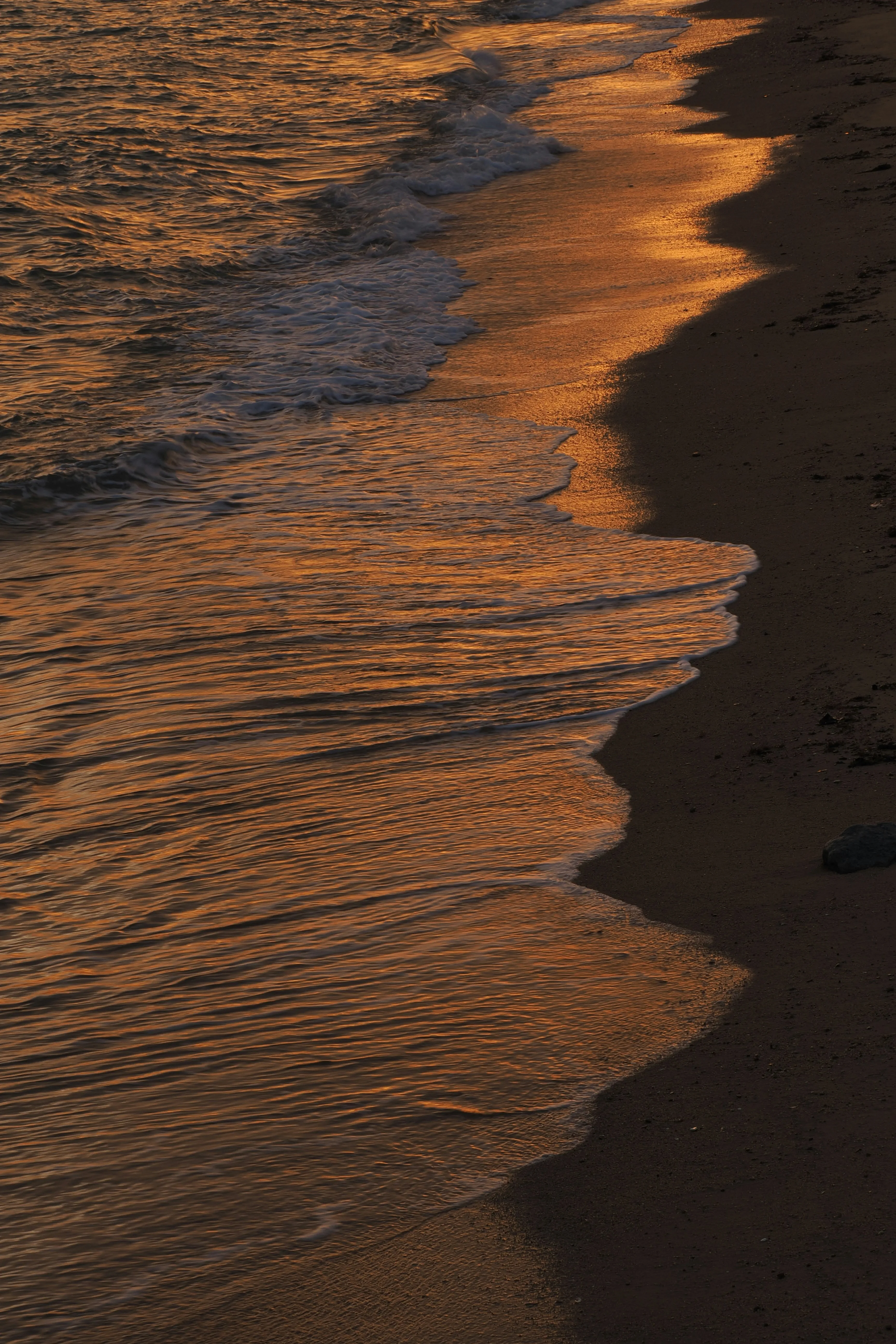 Golden Sunset Reflections: Ocean Waves on Shore