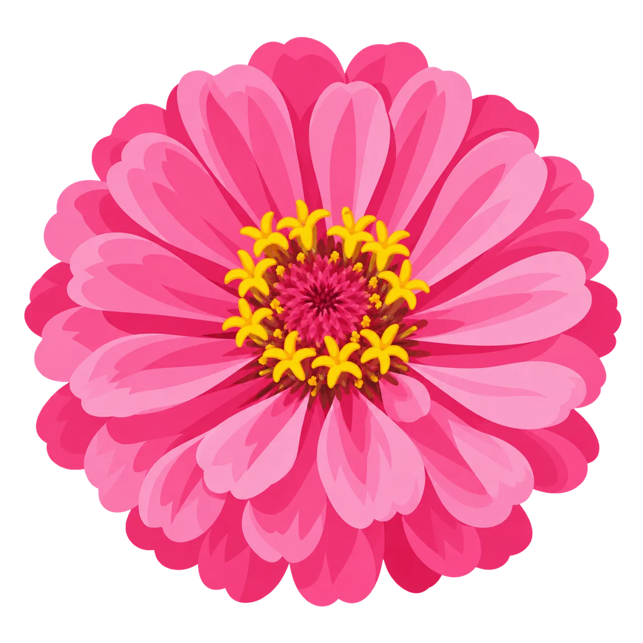 Vibrant Pink Zinnia: Summer Garden's Blooming Beauty