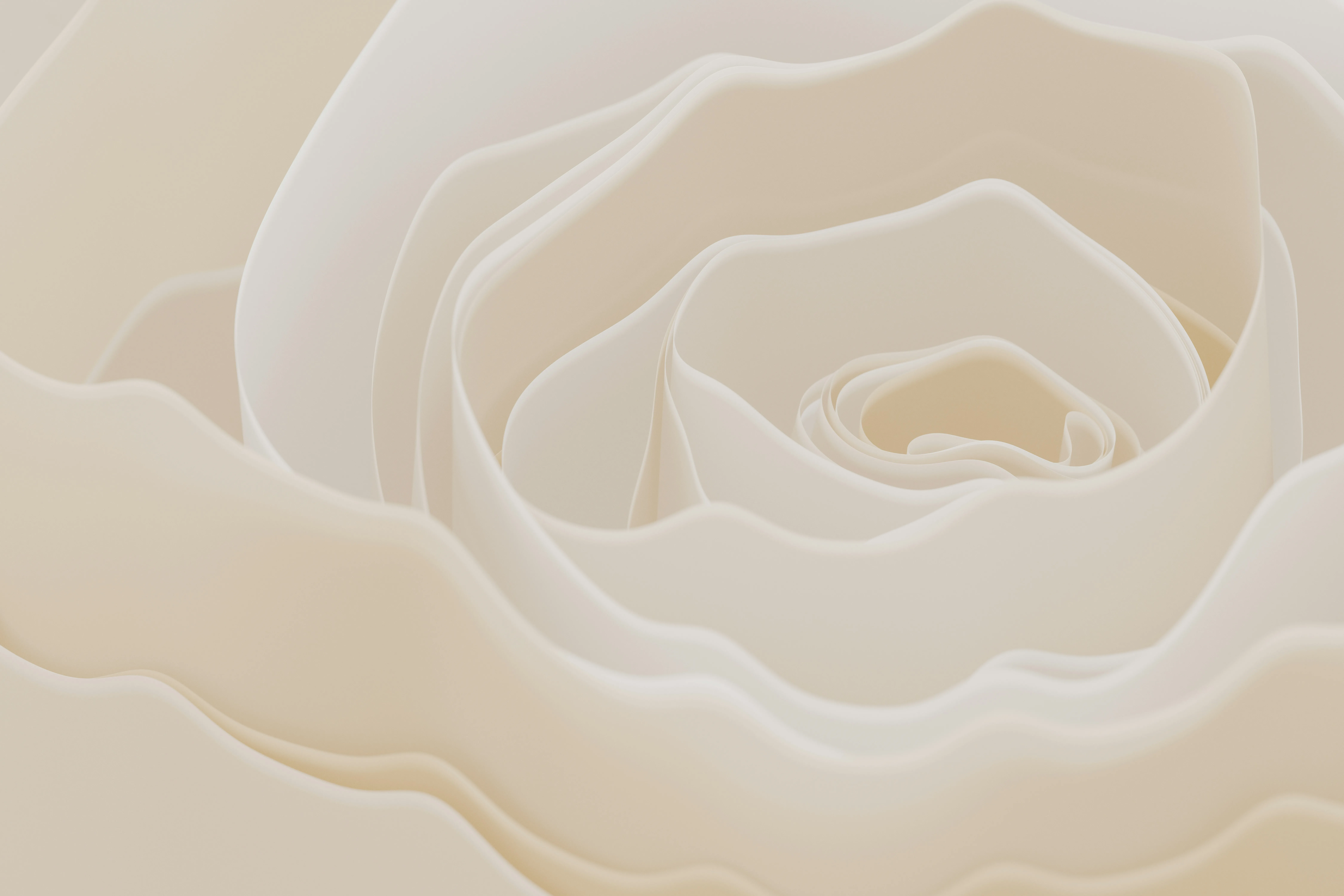 Sublime Cream Rose Petal Texture for Elegant Wallpapers