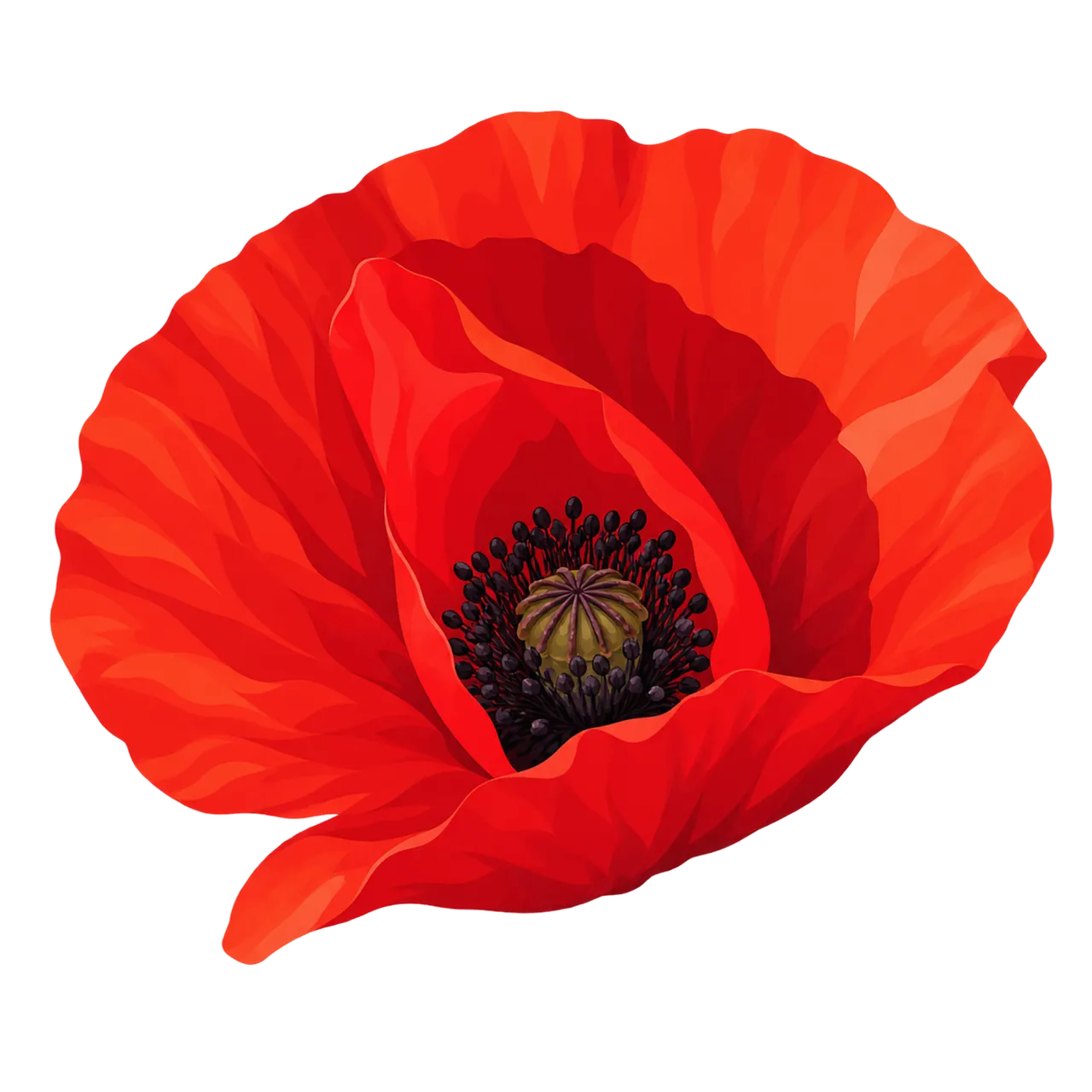 Vibrant Red Poppy: A Symbol of Remembrance and Nature's Beauty