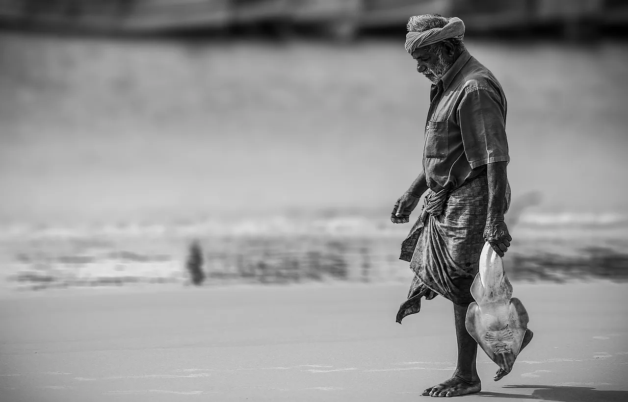Sole Breadwinner: A Fisherman's Daily Catch on the Beach