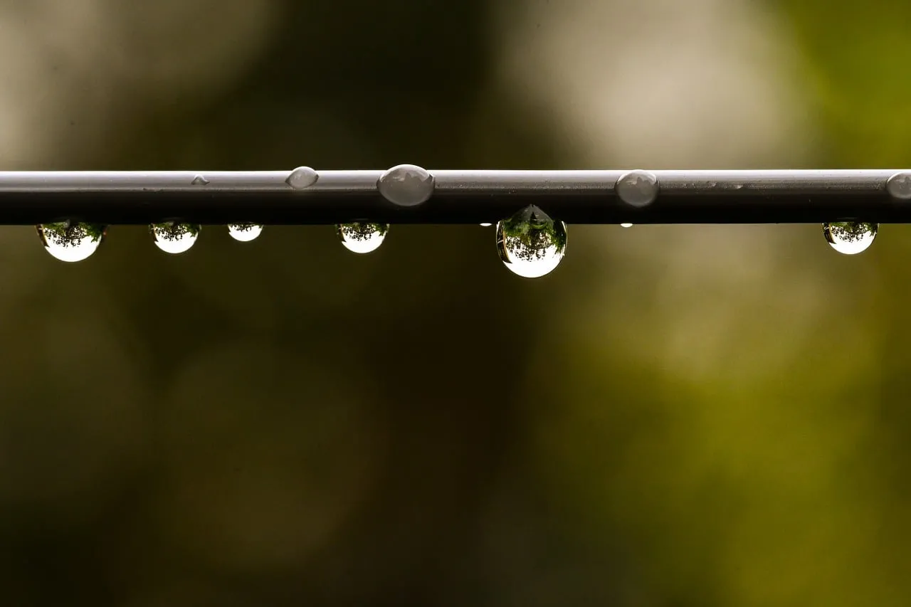 Stunning Macro: Water Drops Reflecting Nature's Beauty