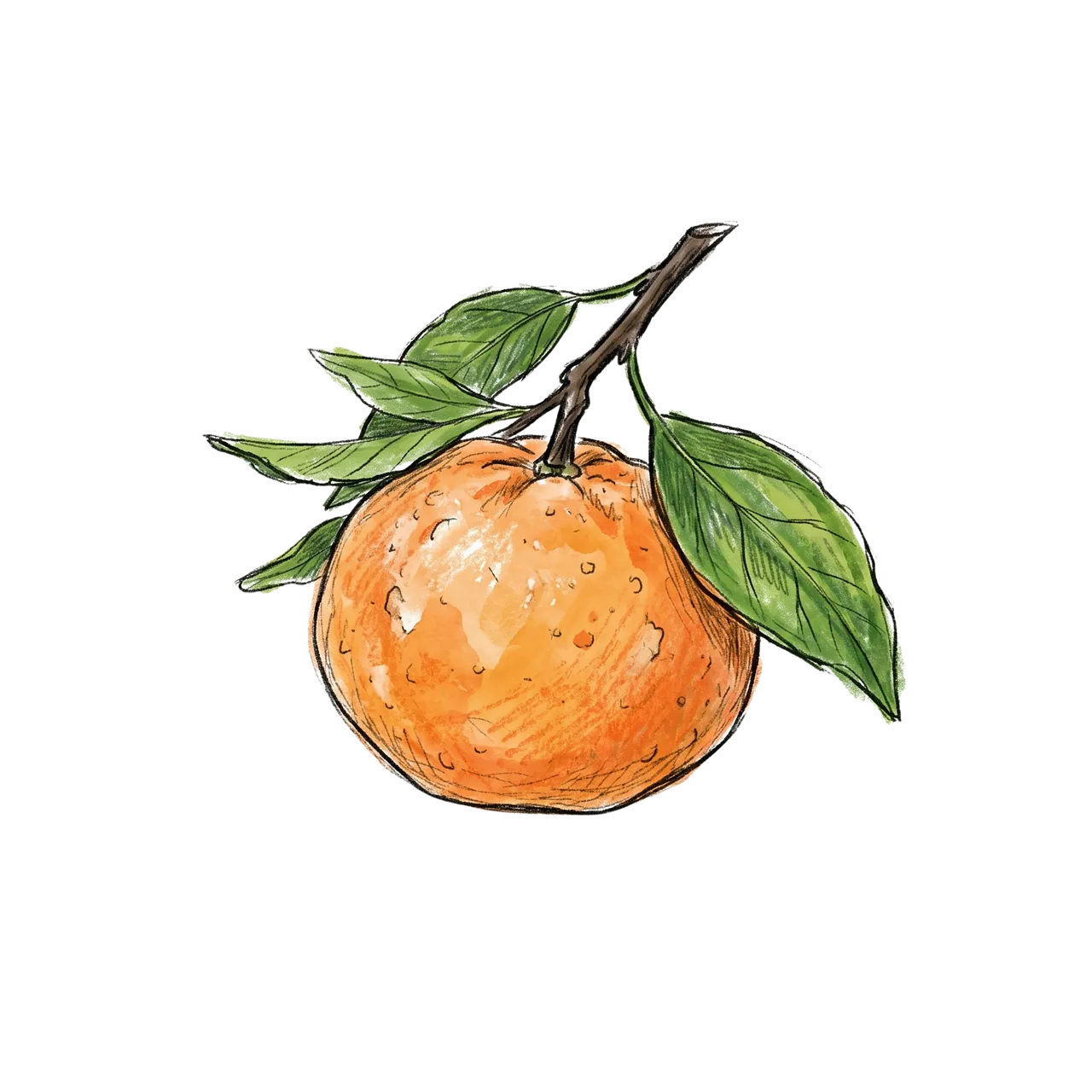 Vibrant Watercolor Citrus: High-Contrast Art