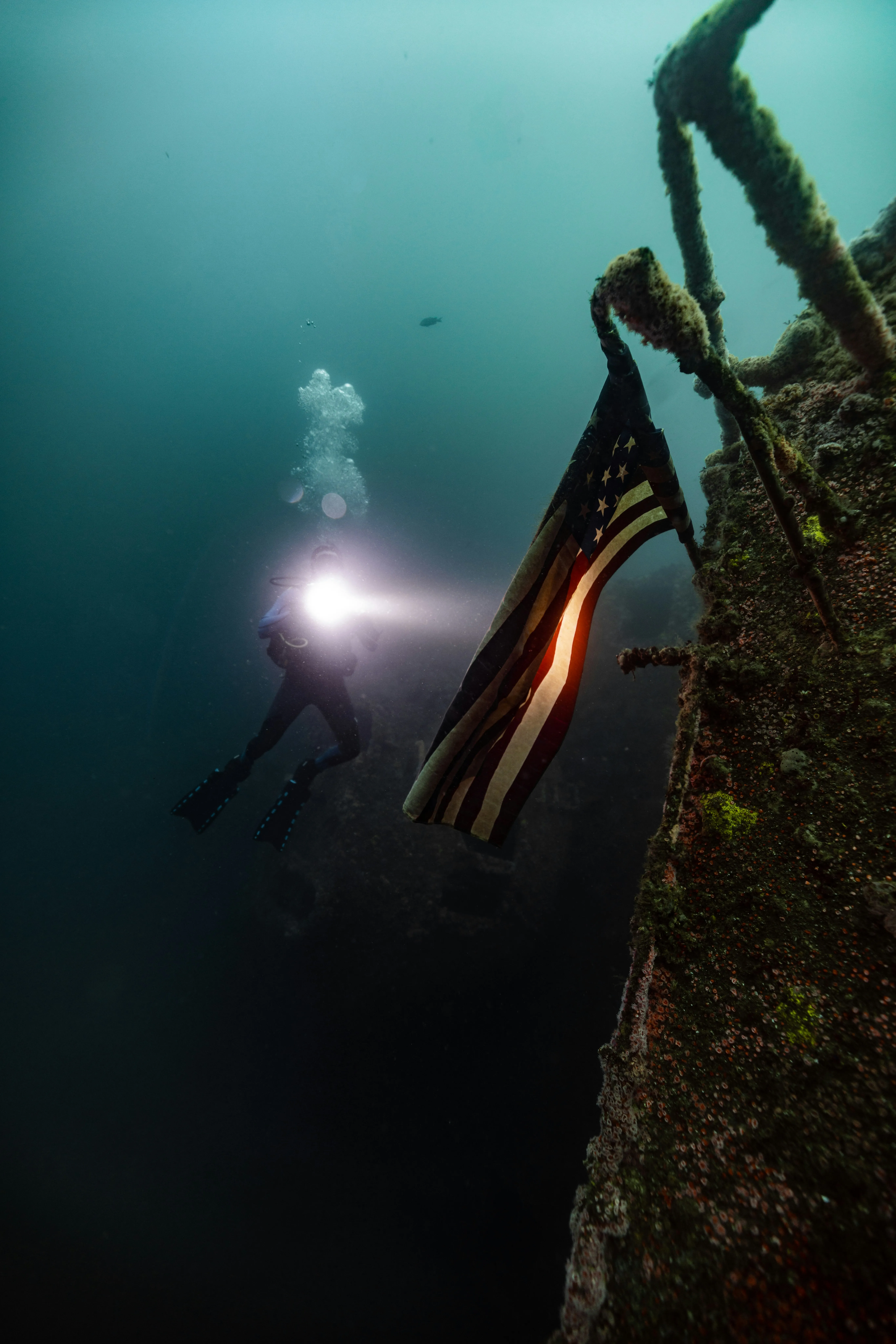 Submerged Patriotism: US Flag on a San Diego Shipwreck