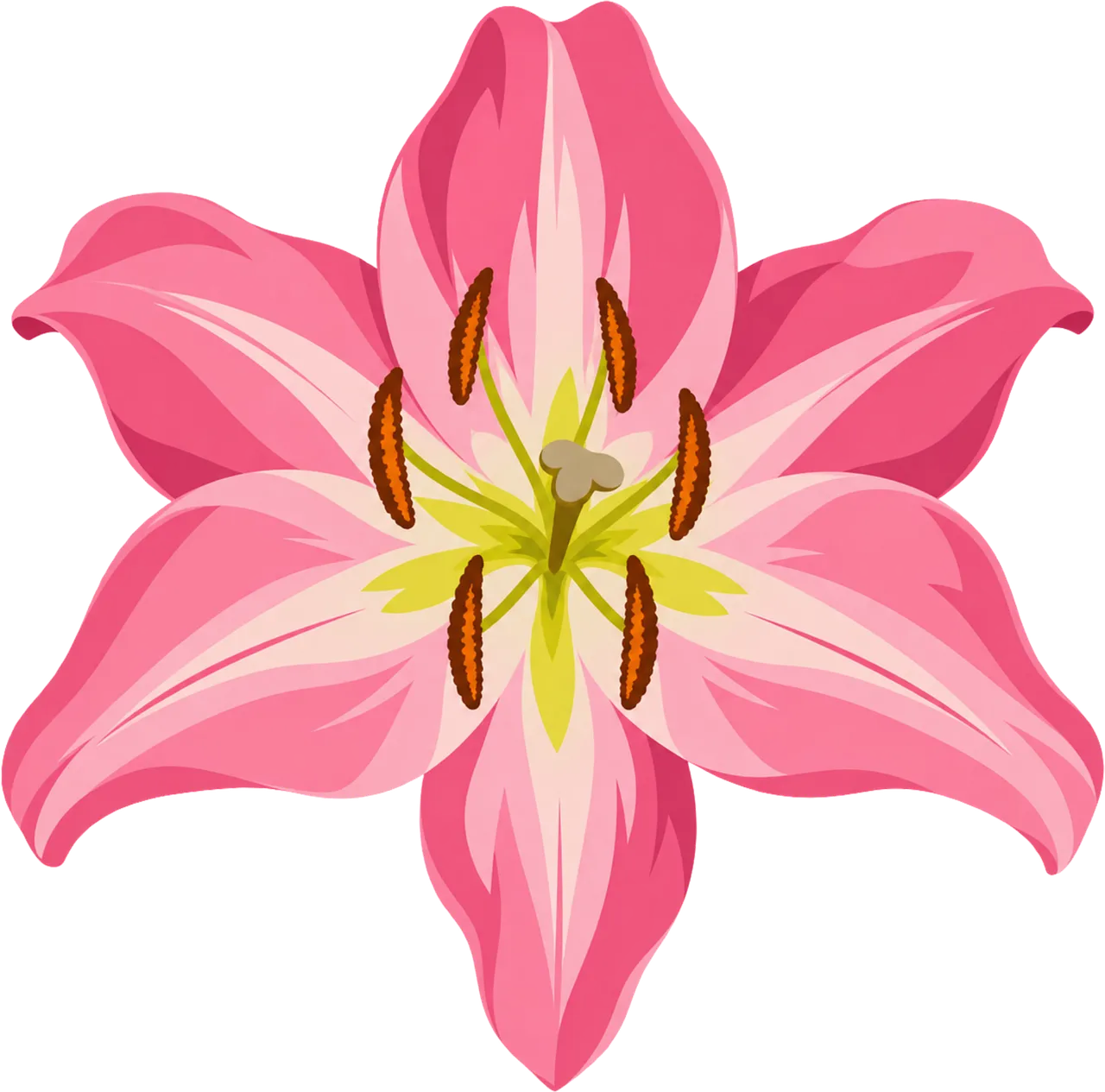 Vibrant Pink Lily Bloom: Delicate Summer Beauty