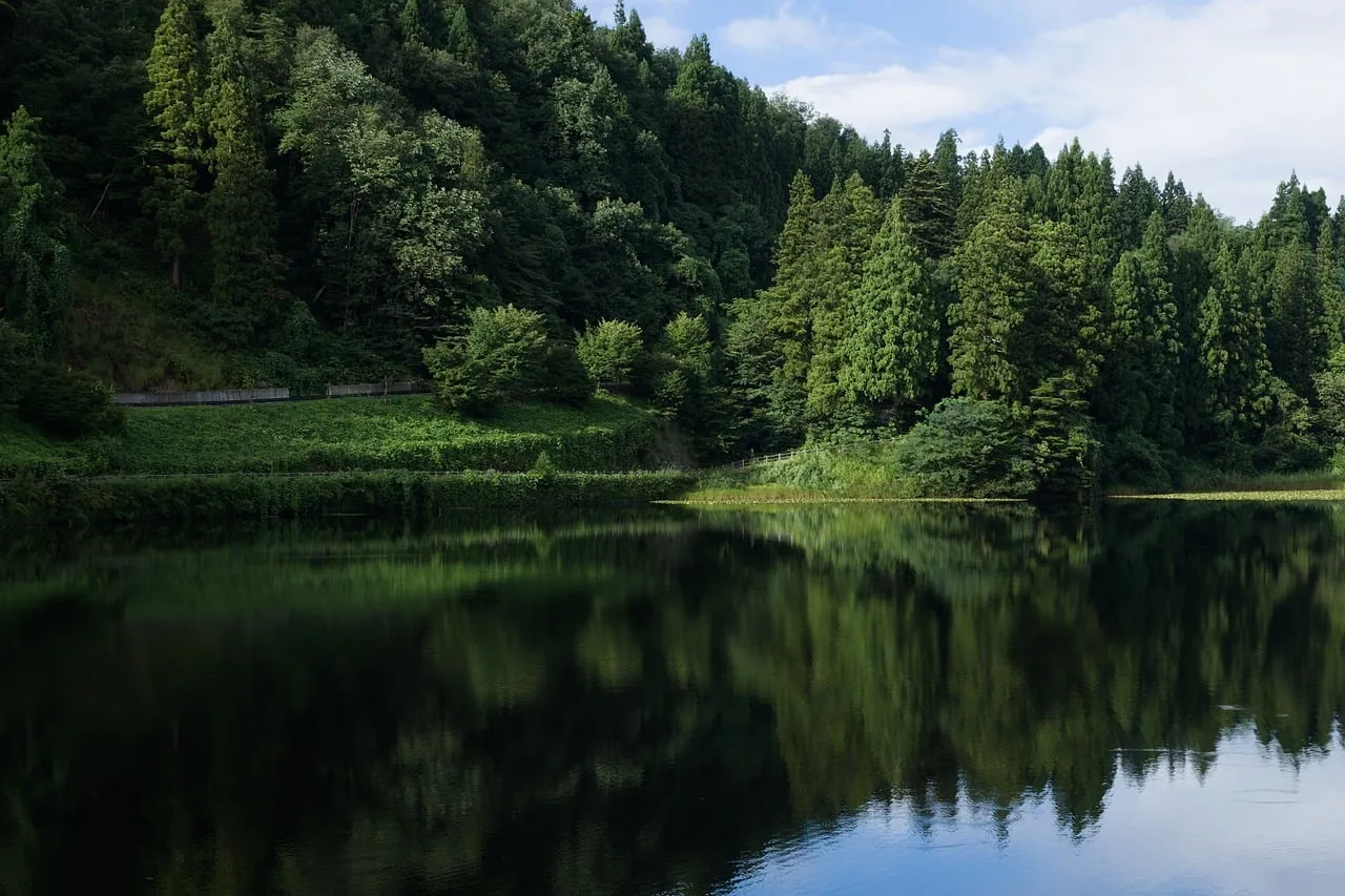 Serene Lake Reflection: Nature's Tranquil Japanese Oasis