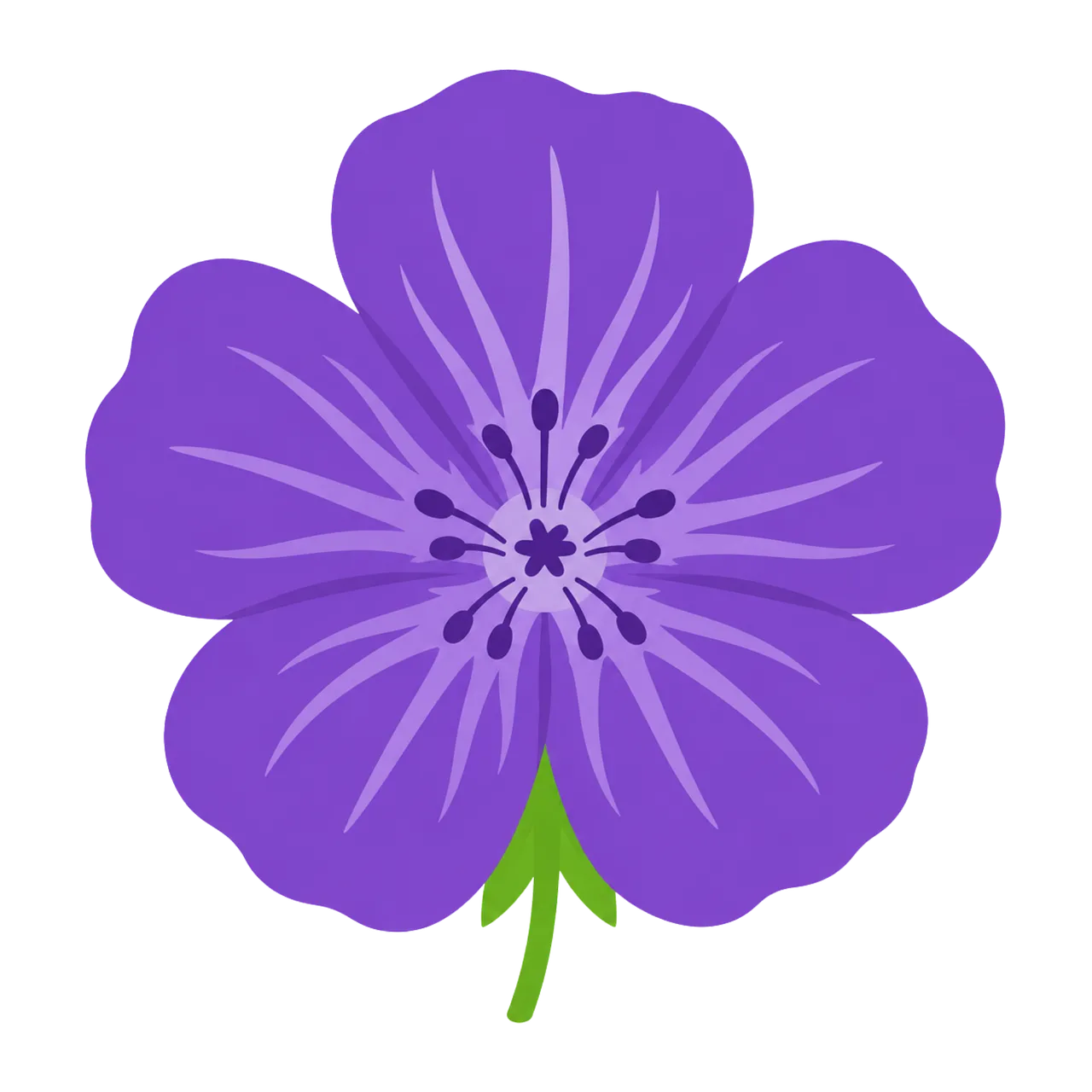Vibrant Purple Geranium Blossom on Black