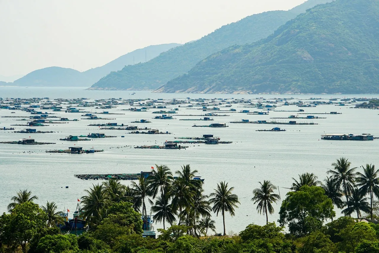 Serene Vung Ro Bay: A Vietnamese Aquaculture Marvel Amidst Mountains