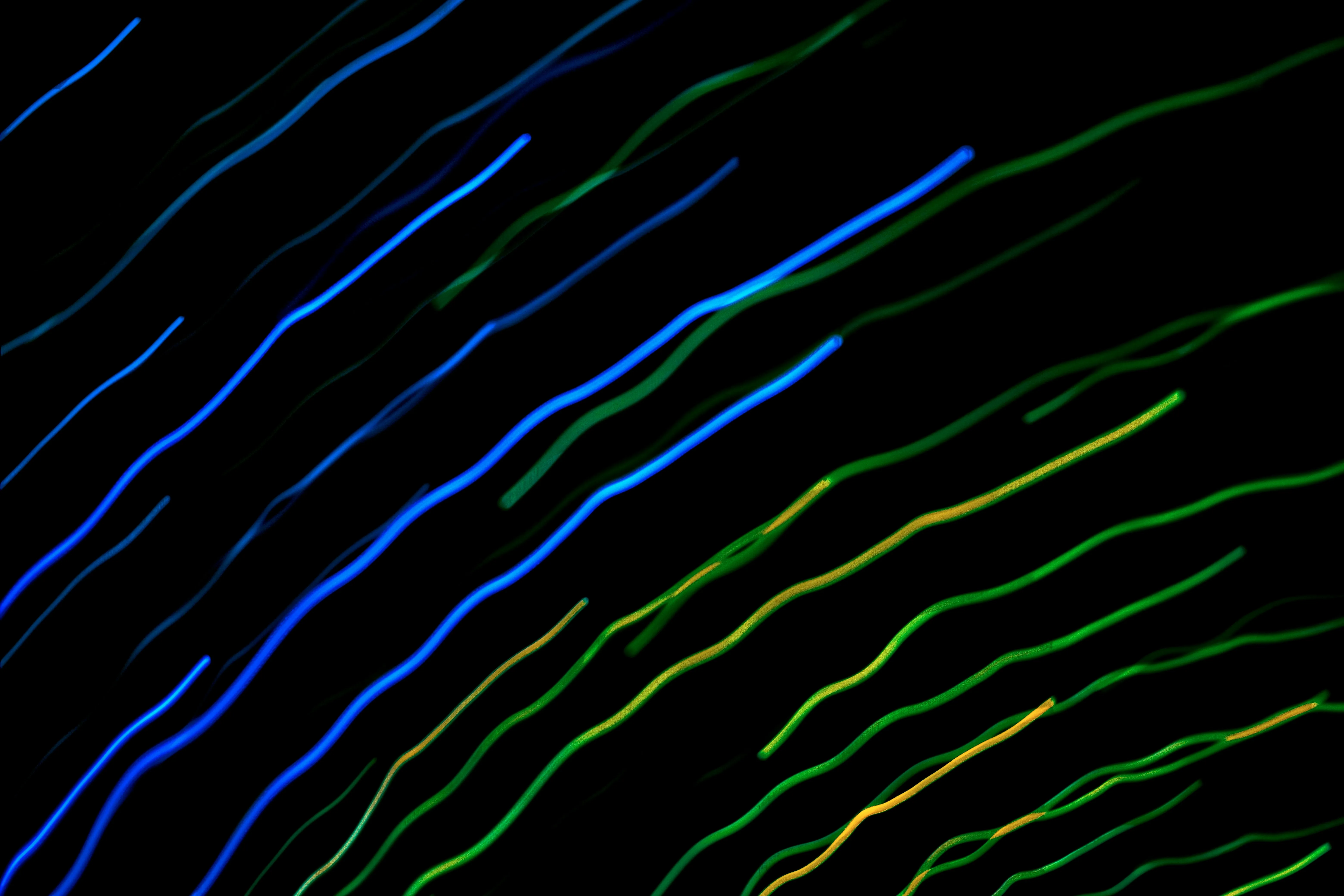 Vibrant Neon Waves: Dynamic Blue-Green Light Streaks