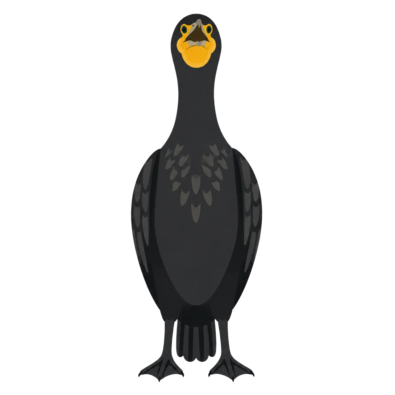 Striking Great Cormorant Illustration: Front View Bird Character