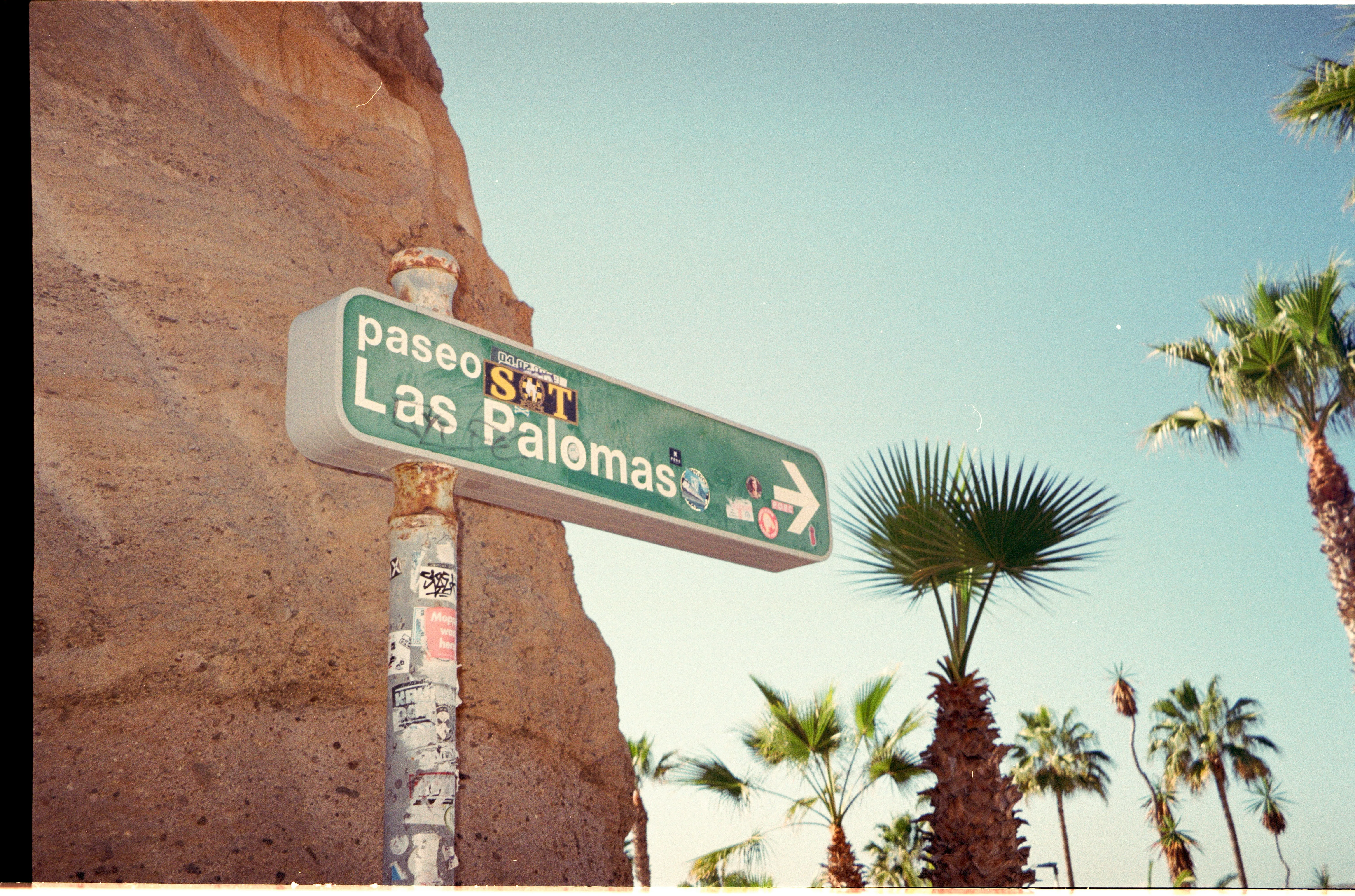 Vibrant Las Palmas Sign Amidst Tropical Palms