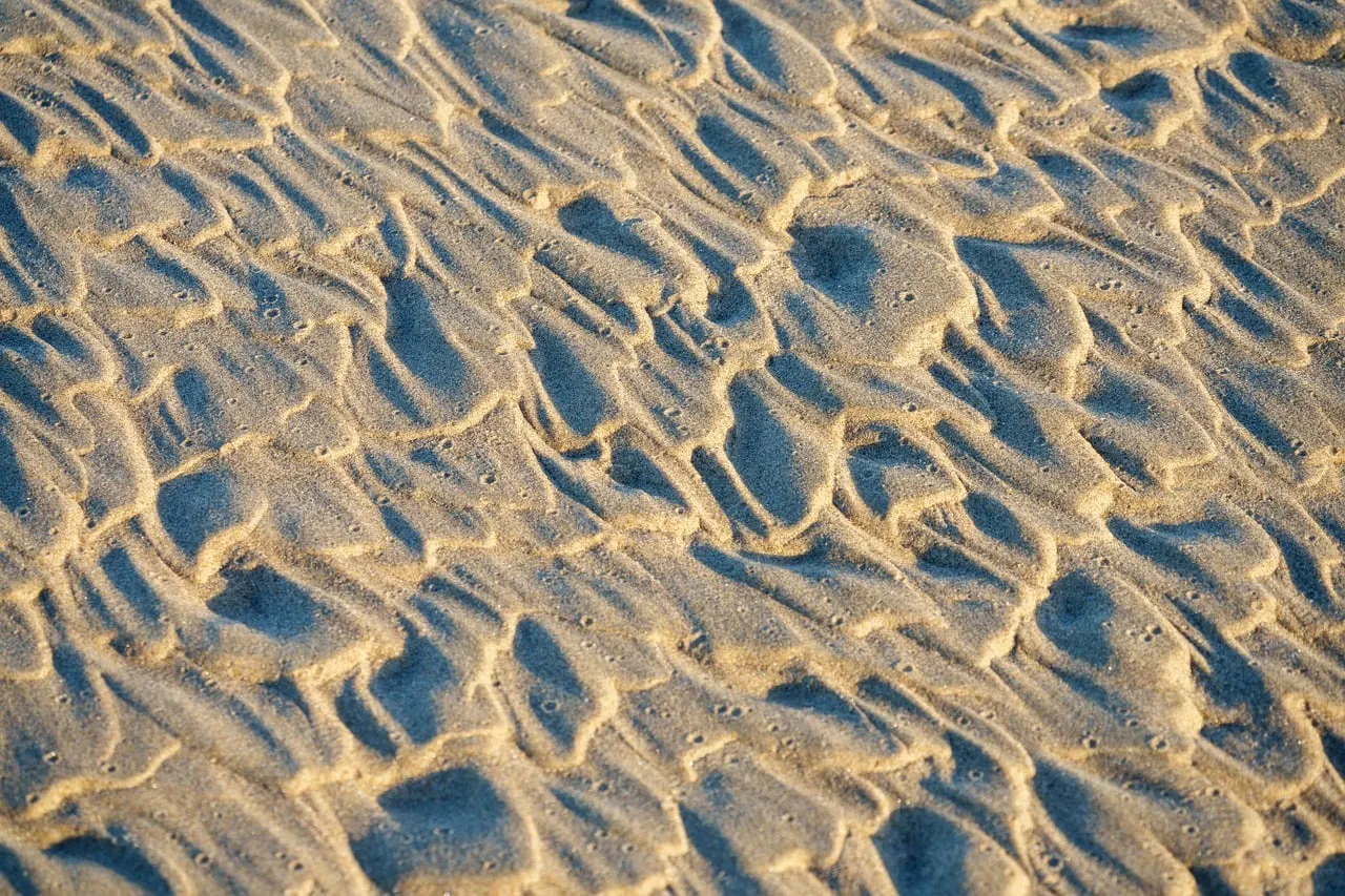 Mesmerizing Sunset Sand Patterns on Pacific Northwest Beach