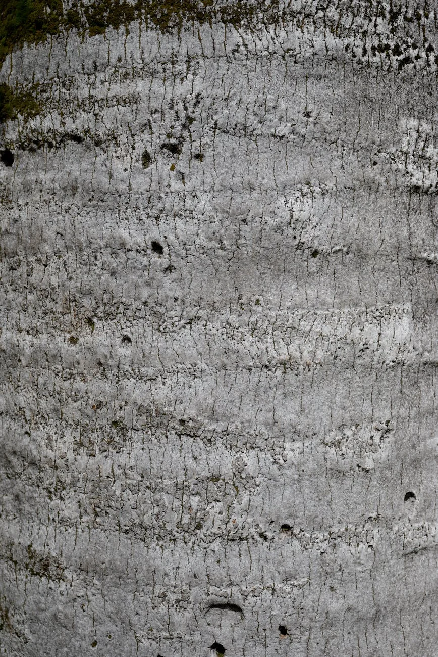 Rustic Palm Bark Texture: Nature's Intricate Canvas