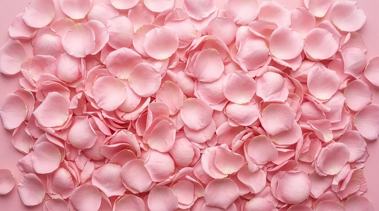 Delicate Pink Rose Petals: Romantic Nature Background