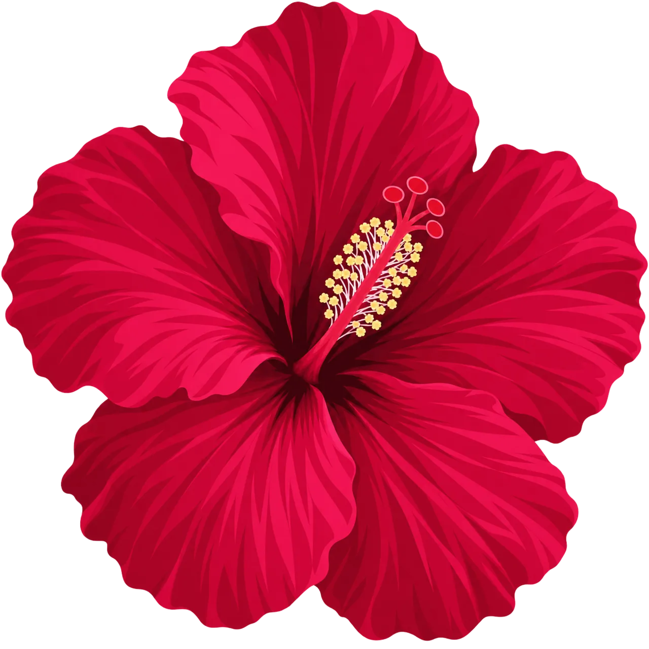 Vibrant Red Hibiscus Blossom: Exotic Floral Illustration