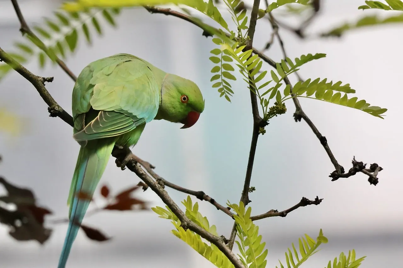 Vivid Green Parrot Perched in Tropical Serenity
