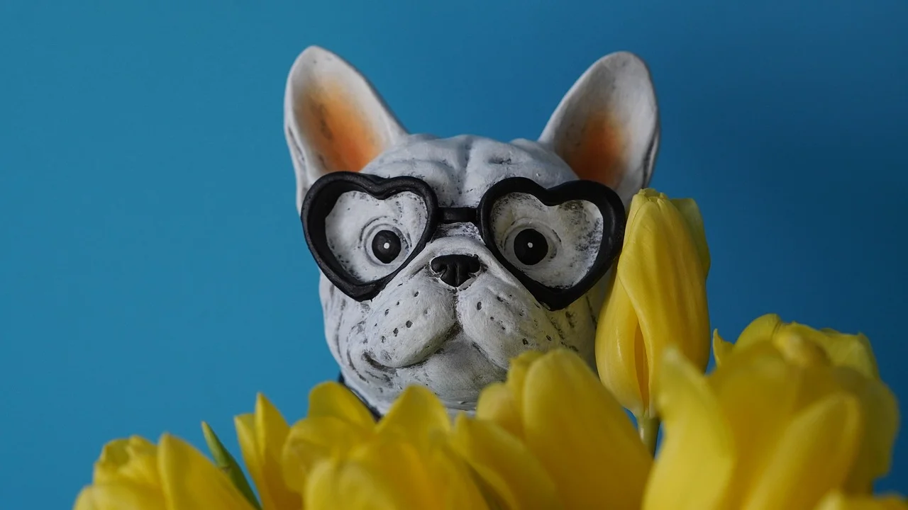 Charming French Bulldog with Heart Glasses Amidst Yellow Tulips
