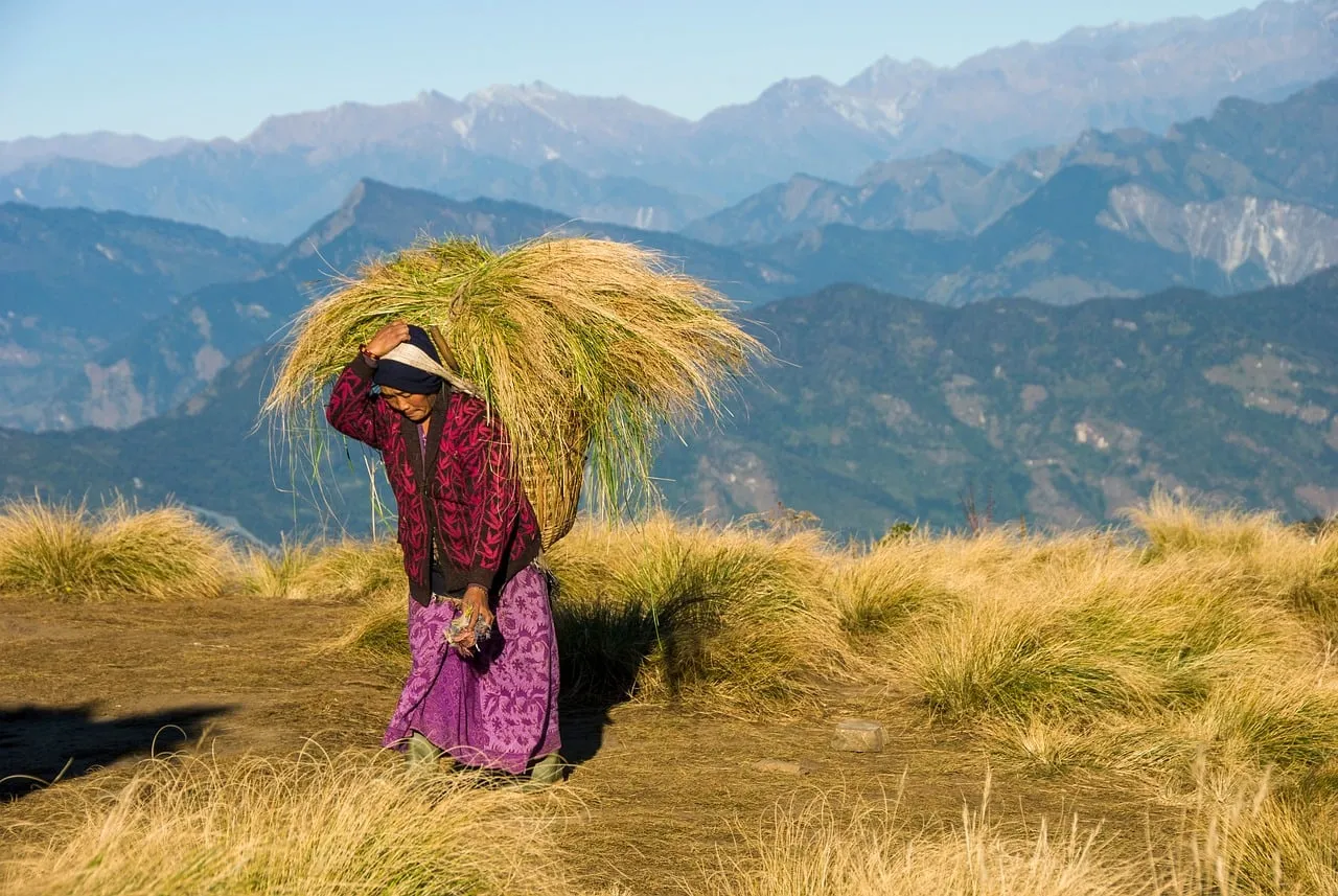 Stunning Himalayan Vista: Local Woman's Resilient Journey