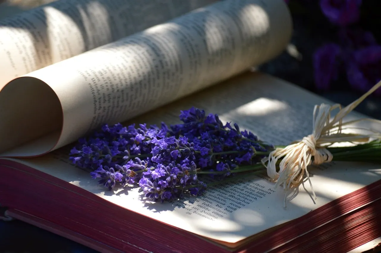 Enchanting Lavender: A Literary Escape with Sunlit Pages