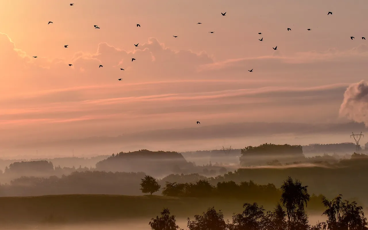 Breathtaking Misty Dawn: Birds Soaring Over a Serene Landscape