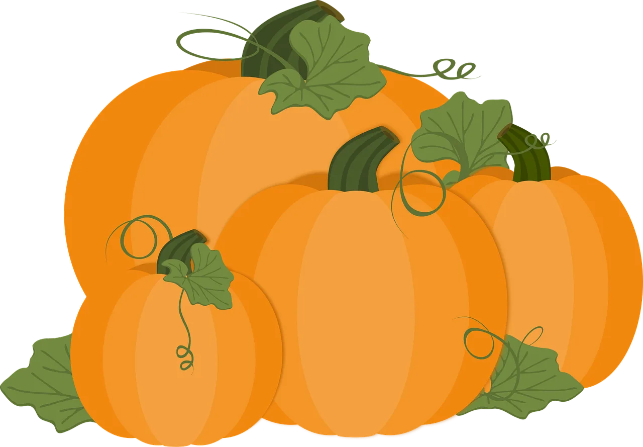 Vibrant Autumn Harvest: A Collection of Festive Pumpkins
