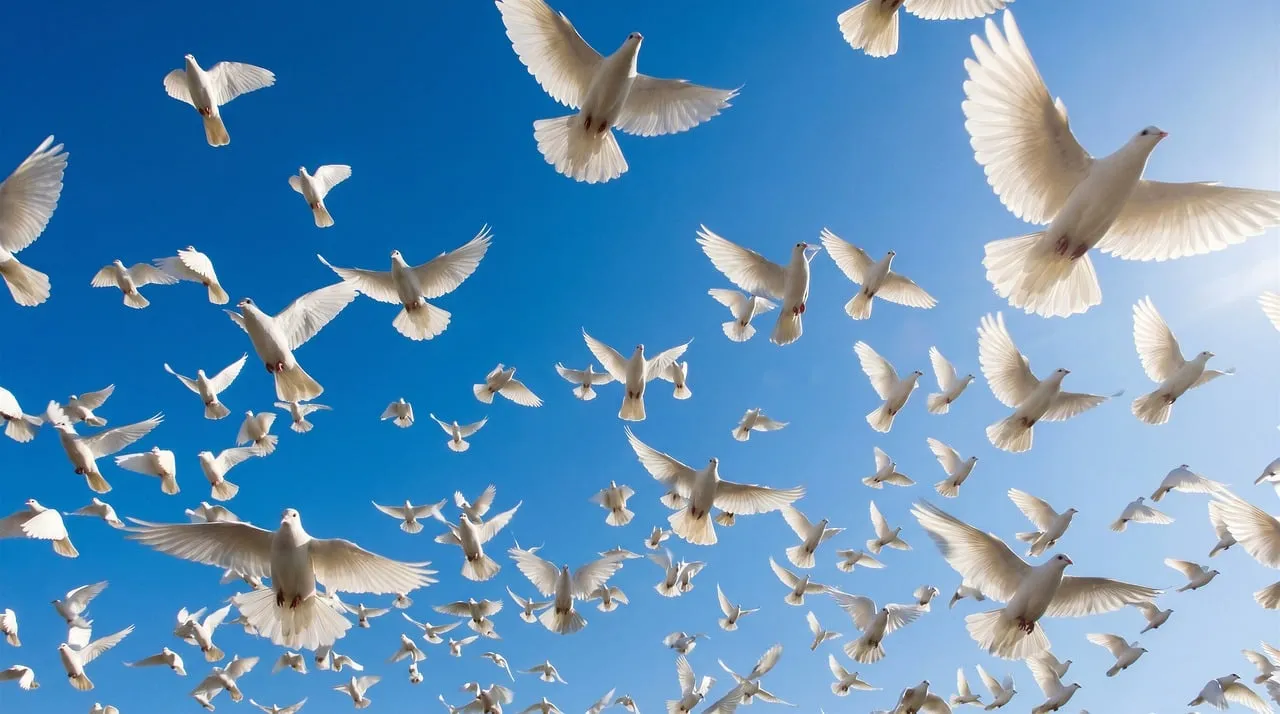 Soaring White Doves: A Symbol of Peace and Freedom in the Blue Sky