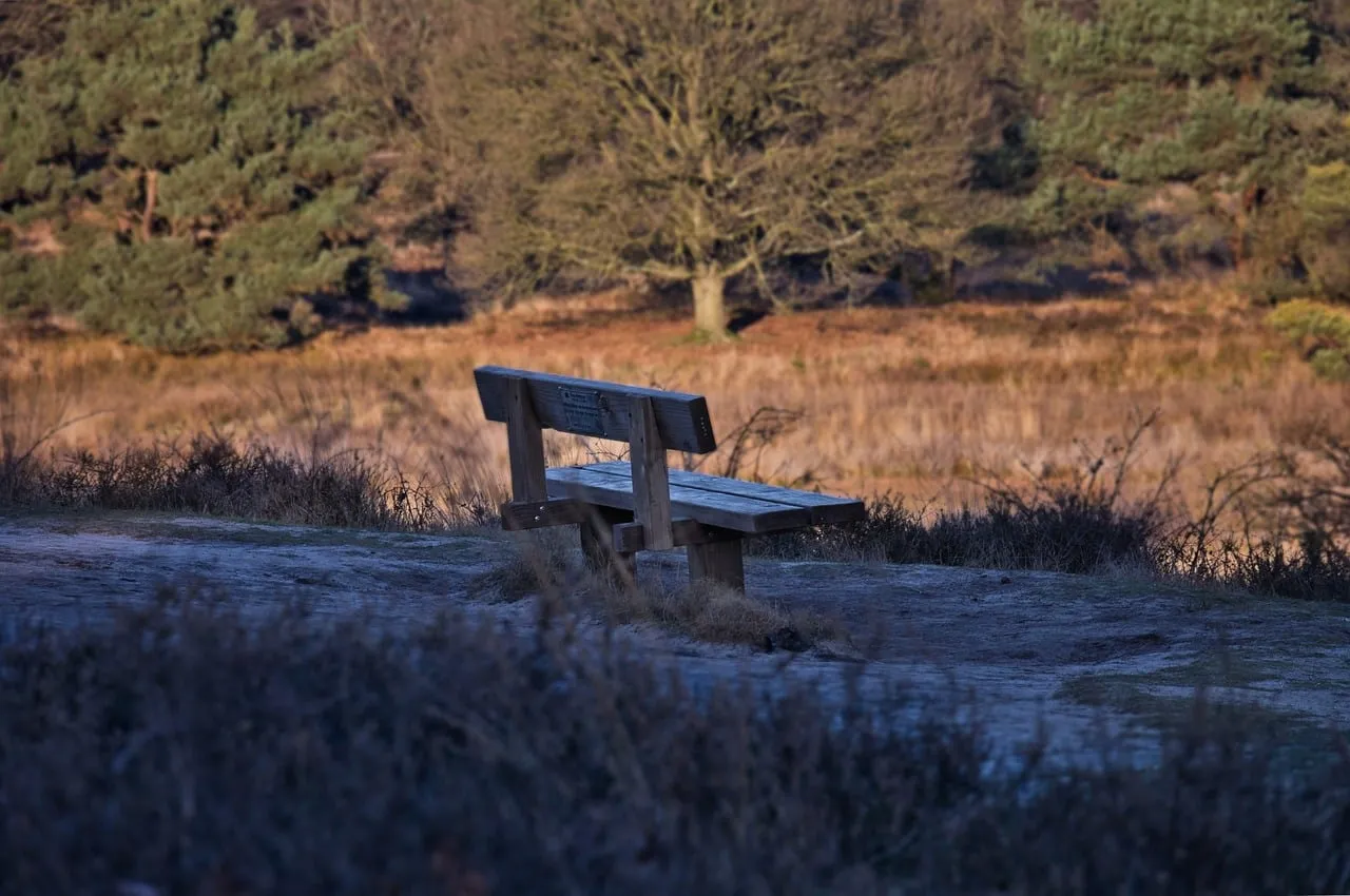 Serene Winter Sunset: Solitude on a Park Bench