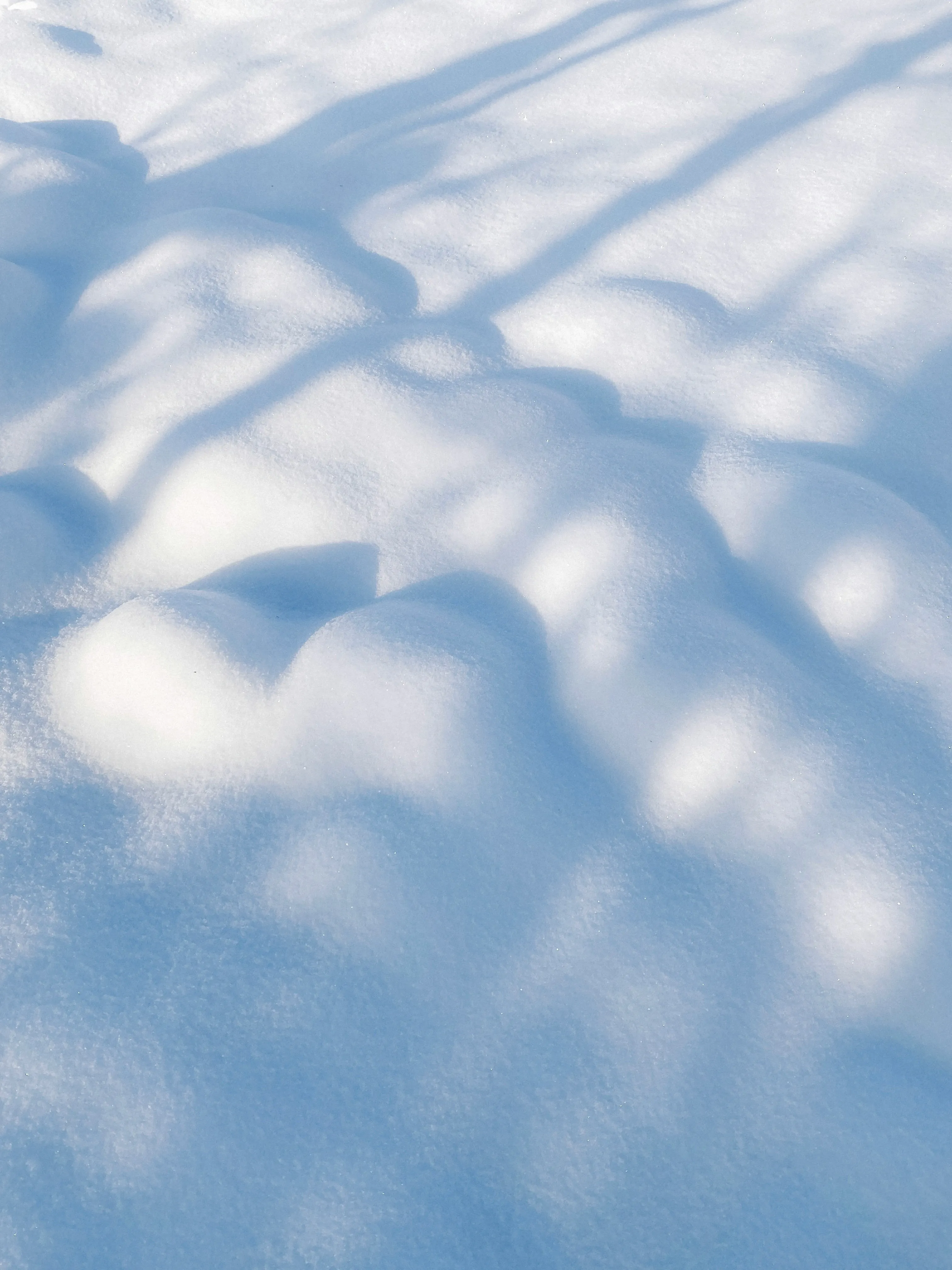 Enchanting Winter: Shimmering Snow Shadows Texture