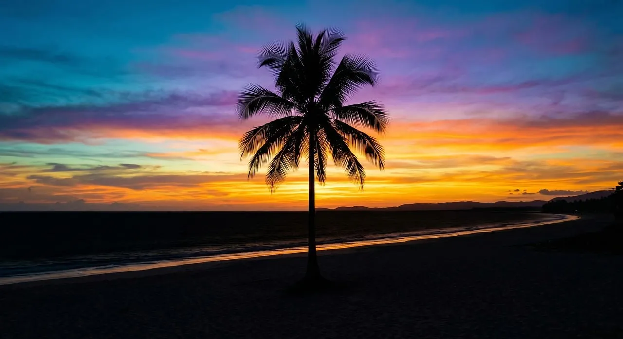 Vibrant Tropical Sunset: Palm Silhouette on a Serene Beach