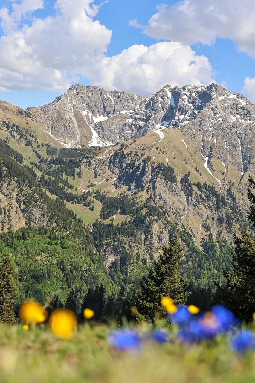 Bavarian Alps Panorama: Spring Flowers & Majestic Peaks
