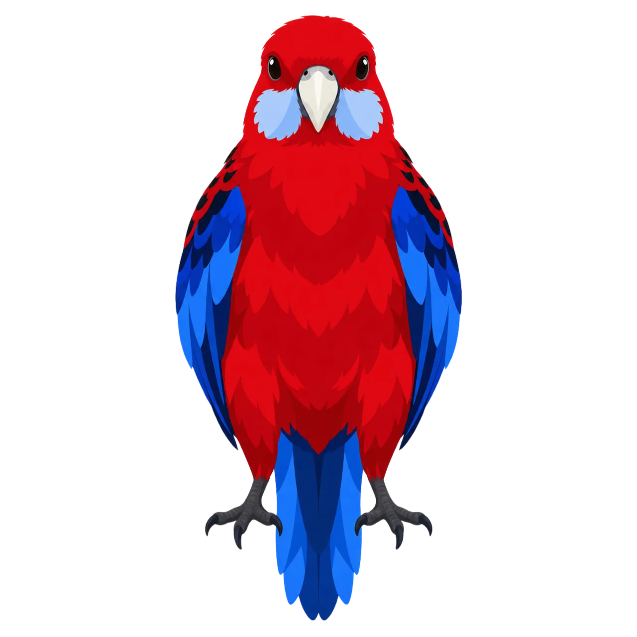 Vibrant Rosella: Striking Red and Blue Australian Parrot Portrait