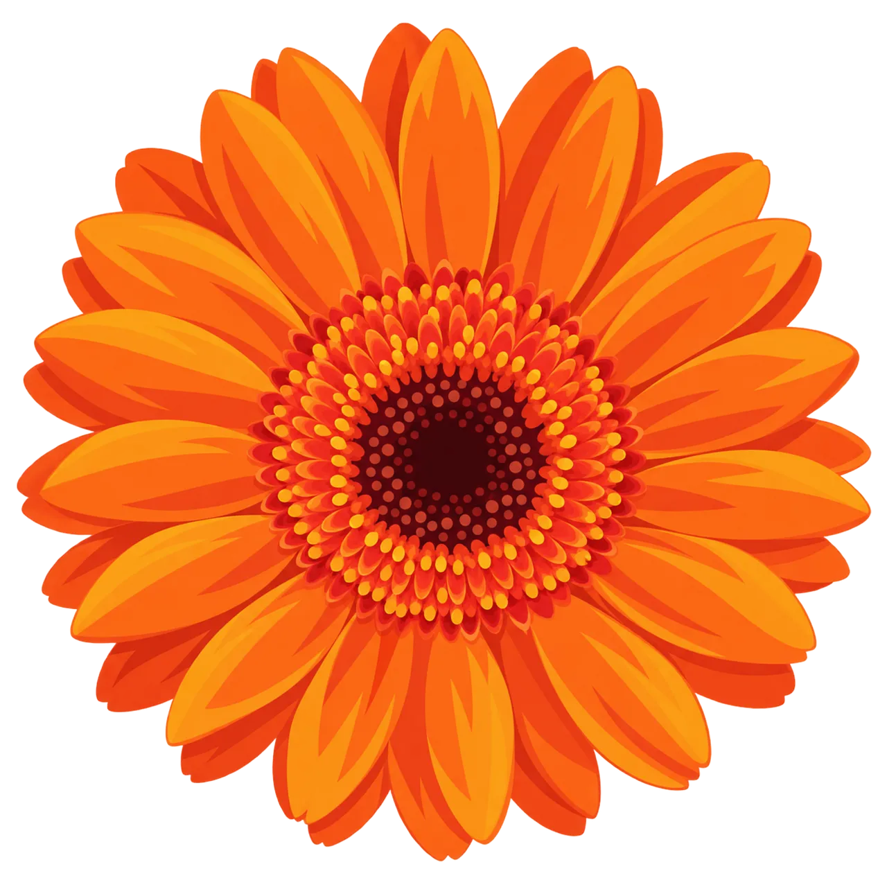 Vibrant Orange Gerbera: A Symmetrical Floral Masterpiece