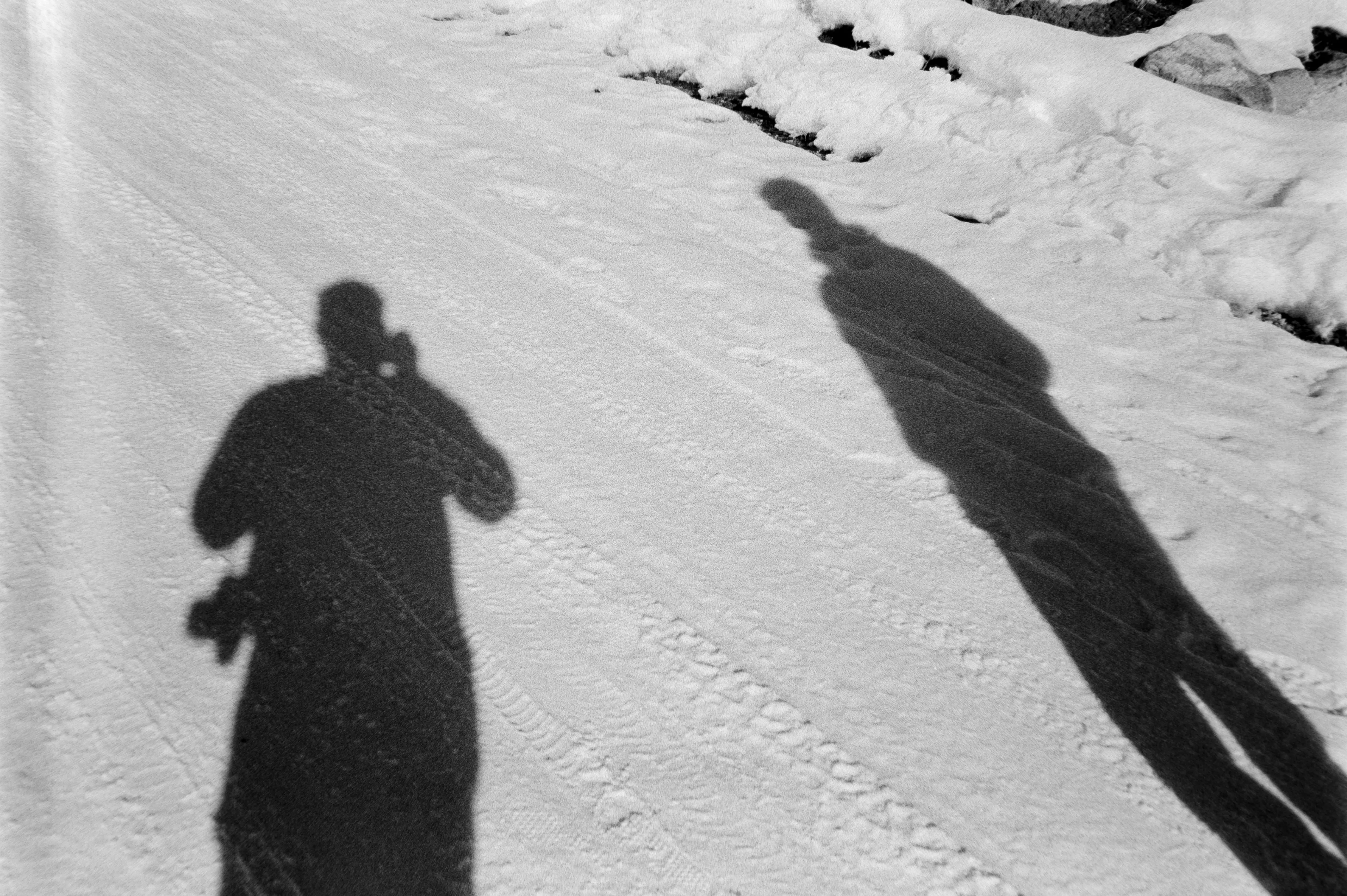 Enigmatic Shadows on a Pristine Snow Road
