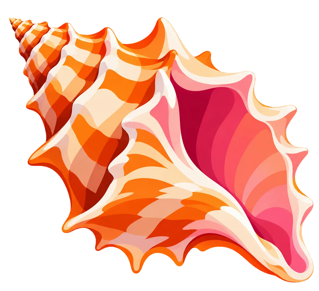 Exotic Pink and Orange Seashell Illustration: A Tropical Marine Beauty