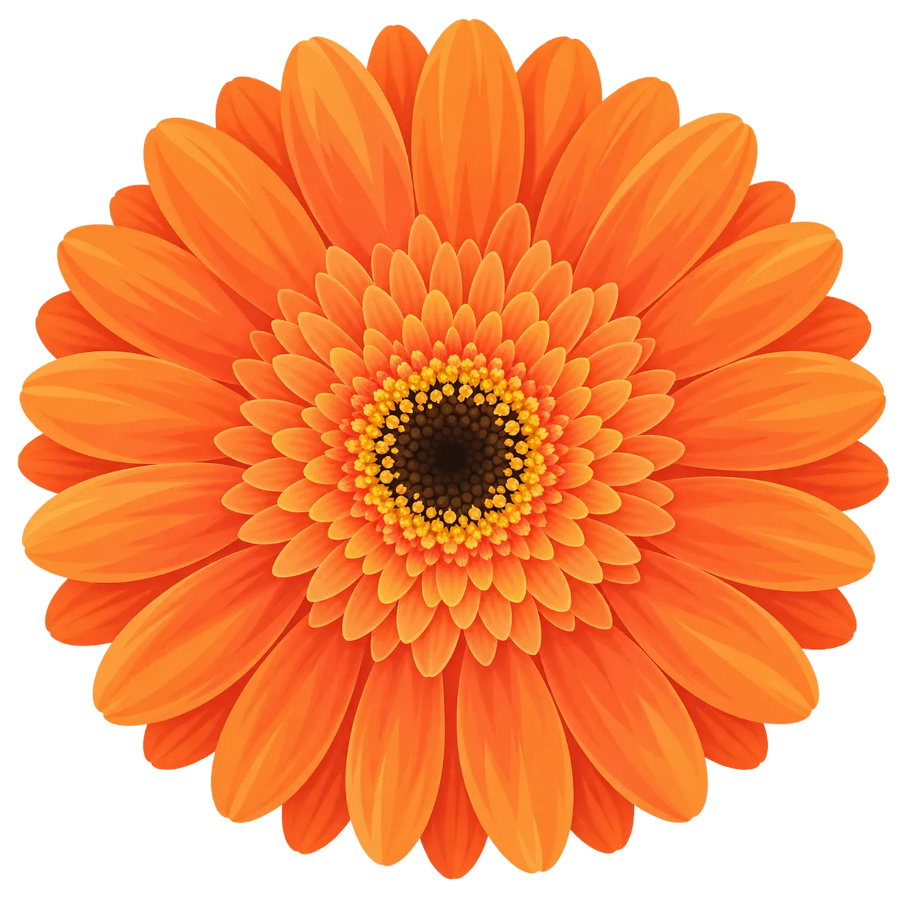 Vibrant Orange Gerbera: A Symphony of Golden Hues