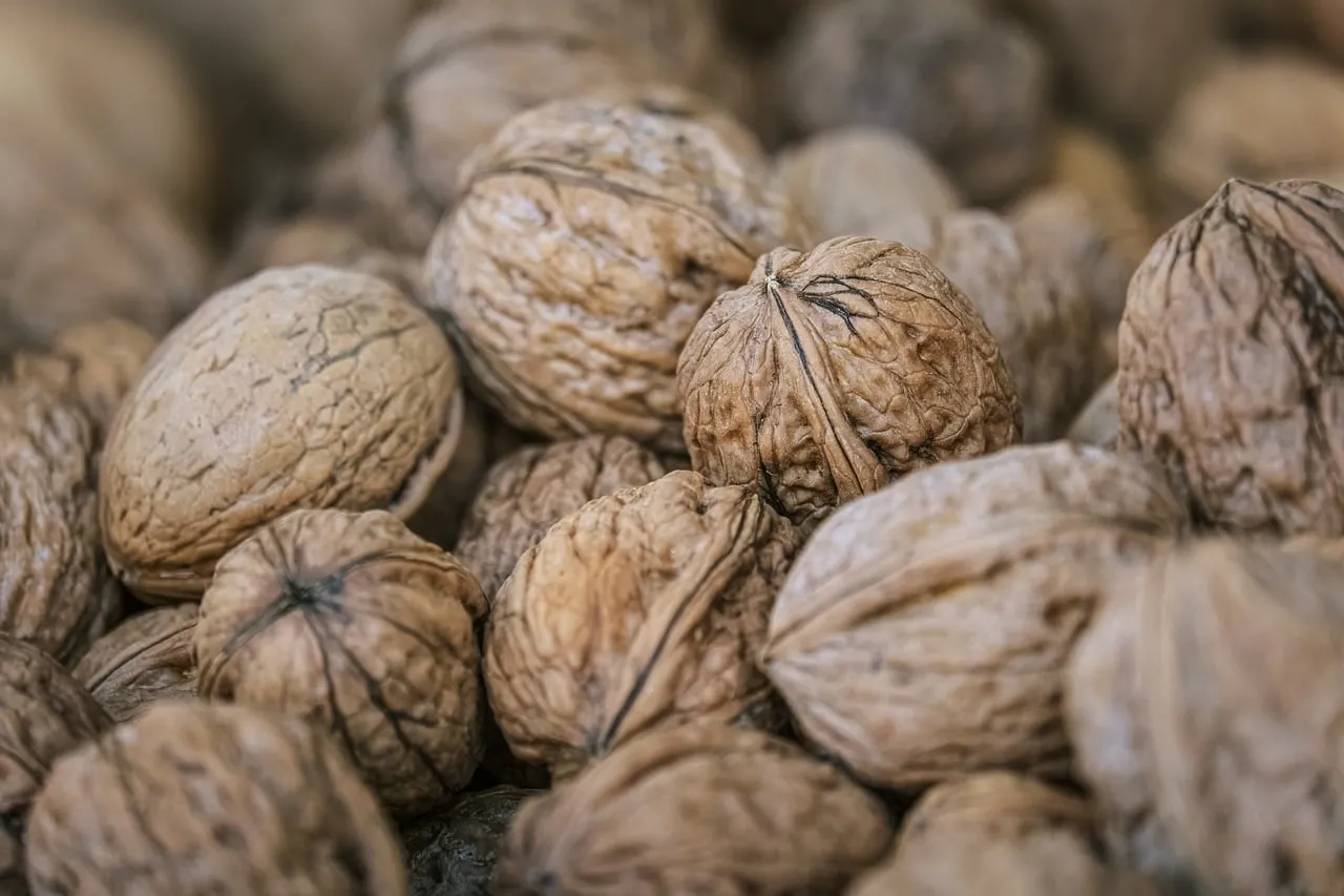 Rustic Autumn Walnuts: Natural, Healthy, and Omega-3 Rich Snack