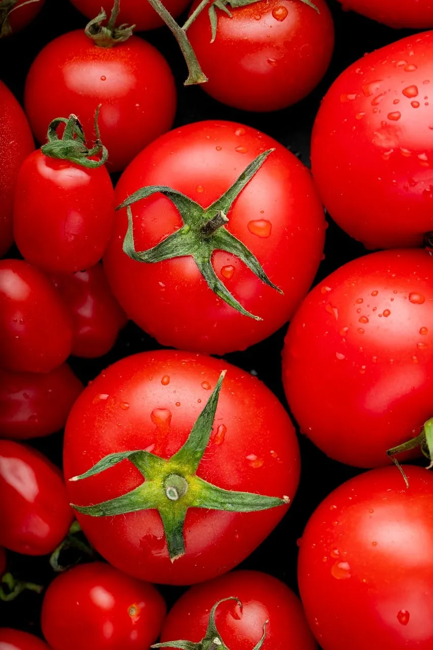 Vibrant Red Tomatoes: Freshly Washed & Ready for Your Table