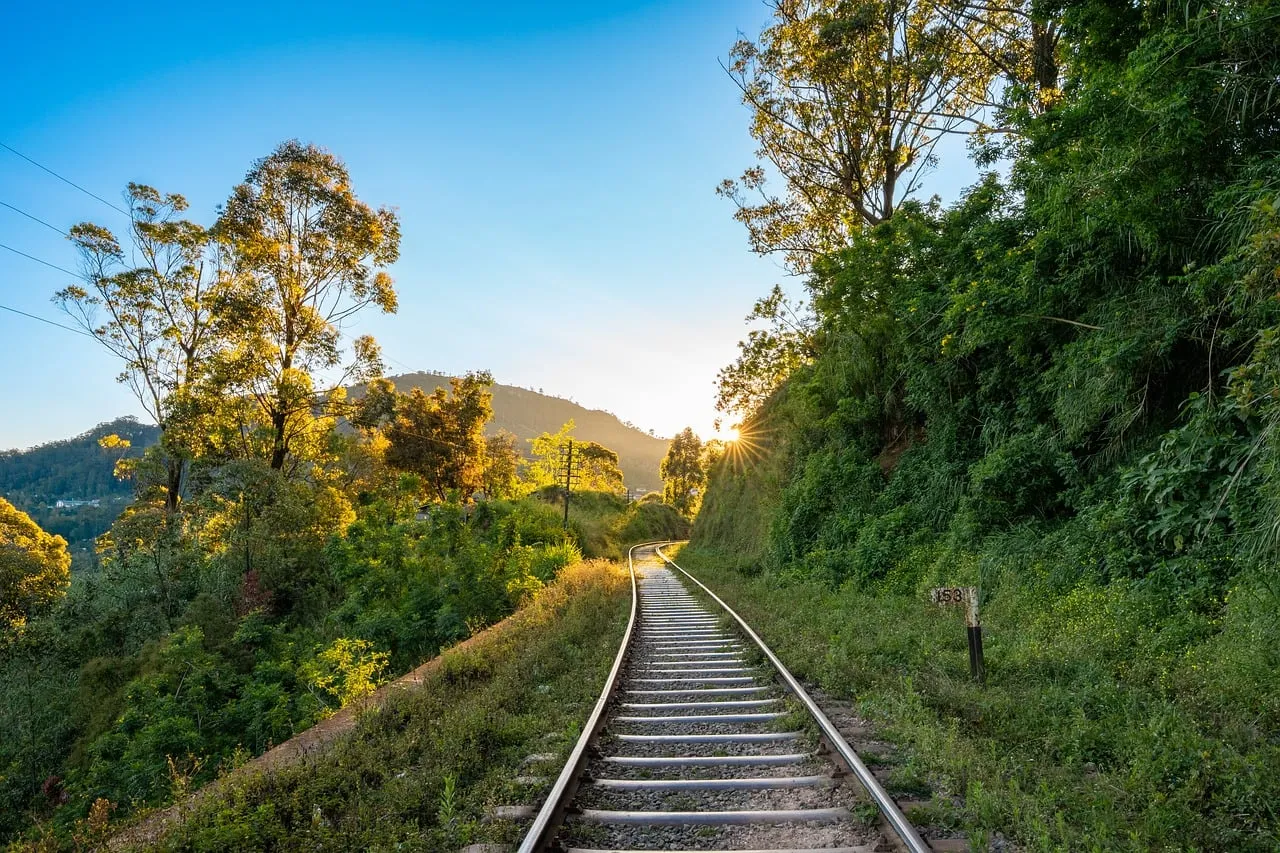 Enchanting Sunset Rails: A Journey Through Nature's Embrace