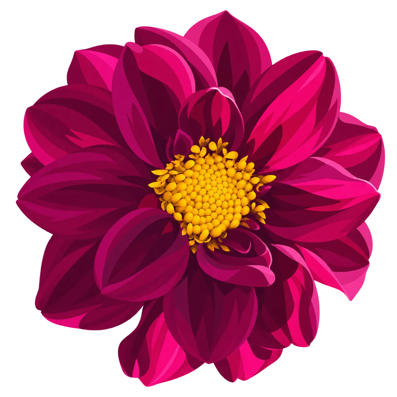 Vibrant Pink Dahlia: Golden Heart of Floral Elegance