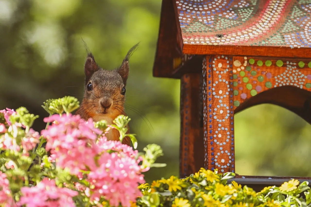 Curious Squirrel Peeking Through Vibrant Spring Flowers
