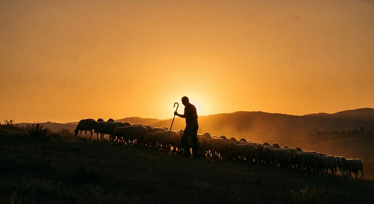 Stunning Golden Hour: Shepherd and Flock at Sunset