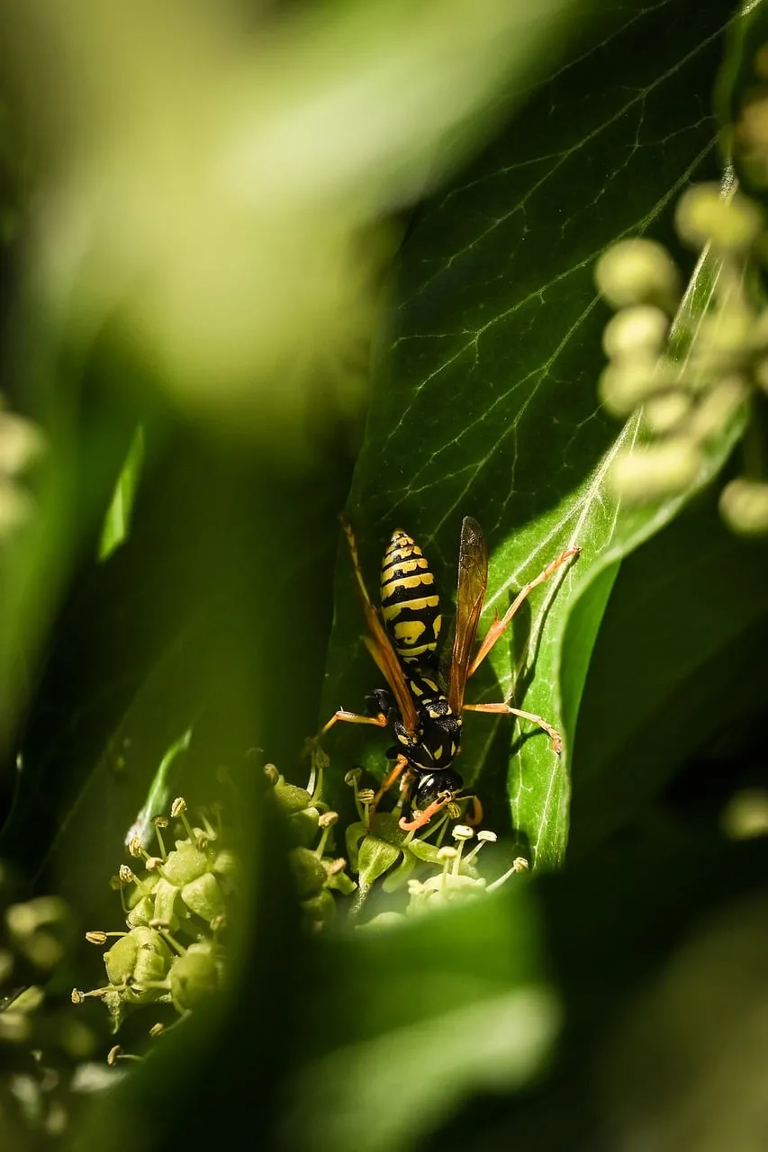 Vibrant Macro: Wasp on Green Foliage in Sunlight