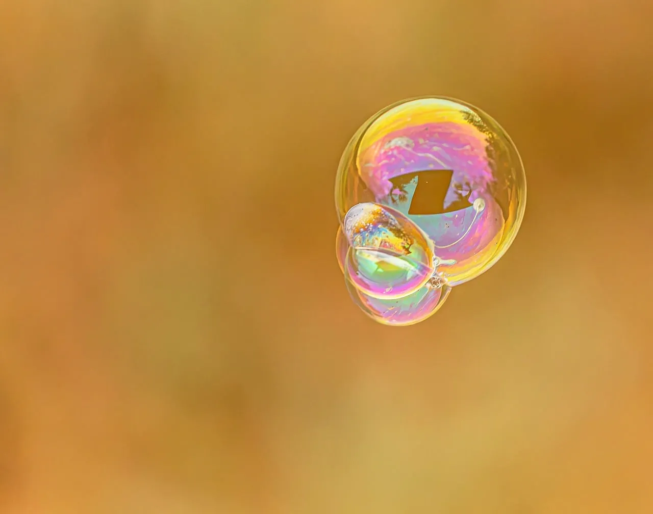 Enchanting Iridescent Soap Bubbles on Warm Background